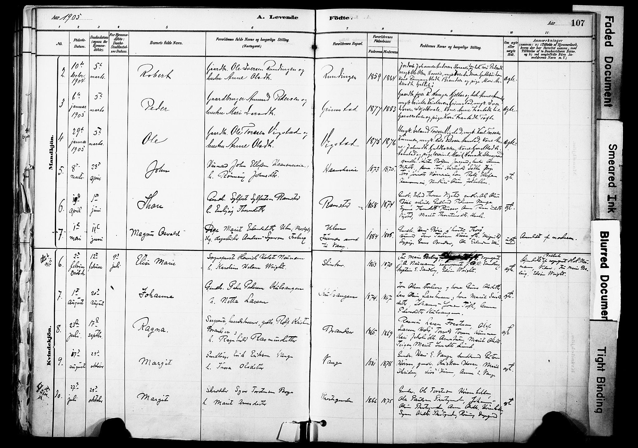 Skjåk prestekontor, SAH/PREST-072/H/Ha/Haa/L0003: Parish register (official) no. 3, 1880-1907, p. 107