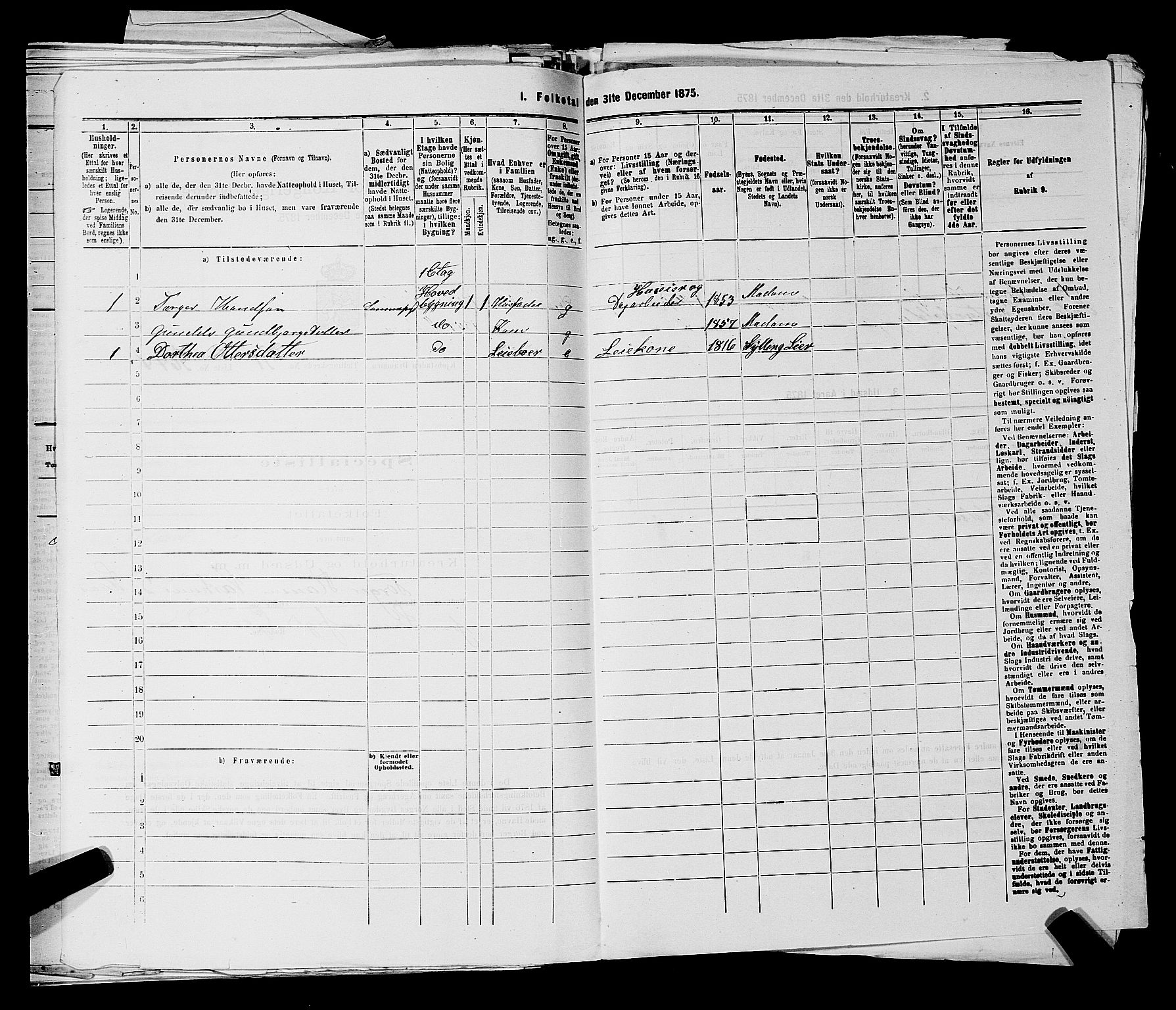 SAKO, 1875 census for 0602 Drammen, 1875, p. 1133