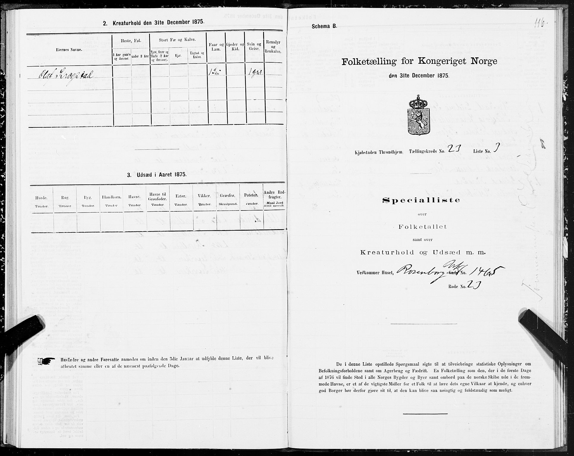 SAT, 1875 census for 1601 Trondheim, 1875, p. 12116