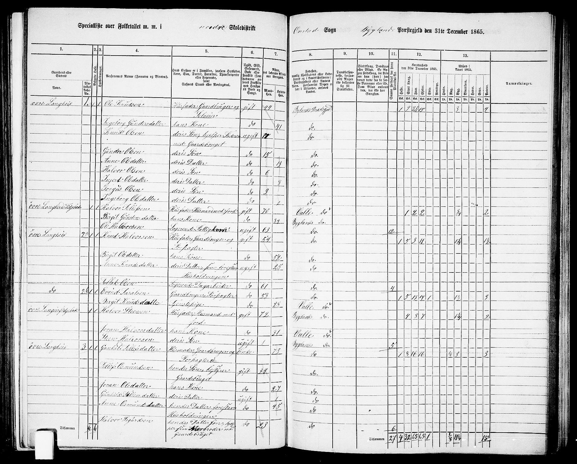 RA, 1865 census for Bygland, 1865, p. 6