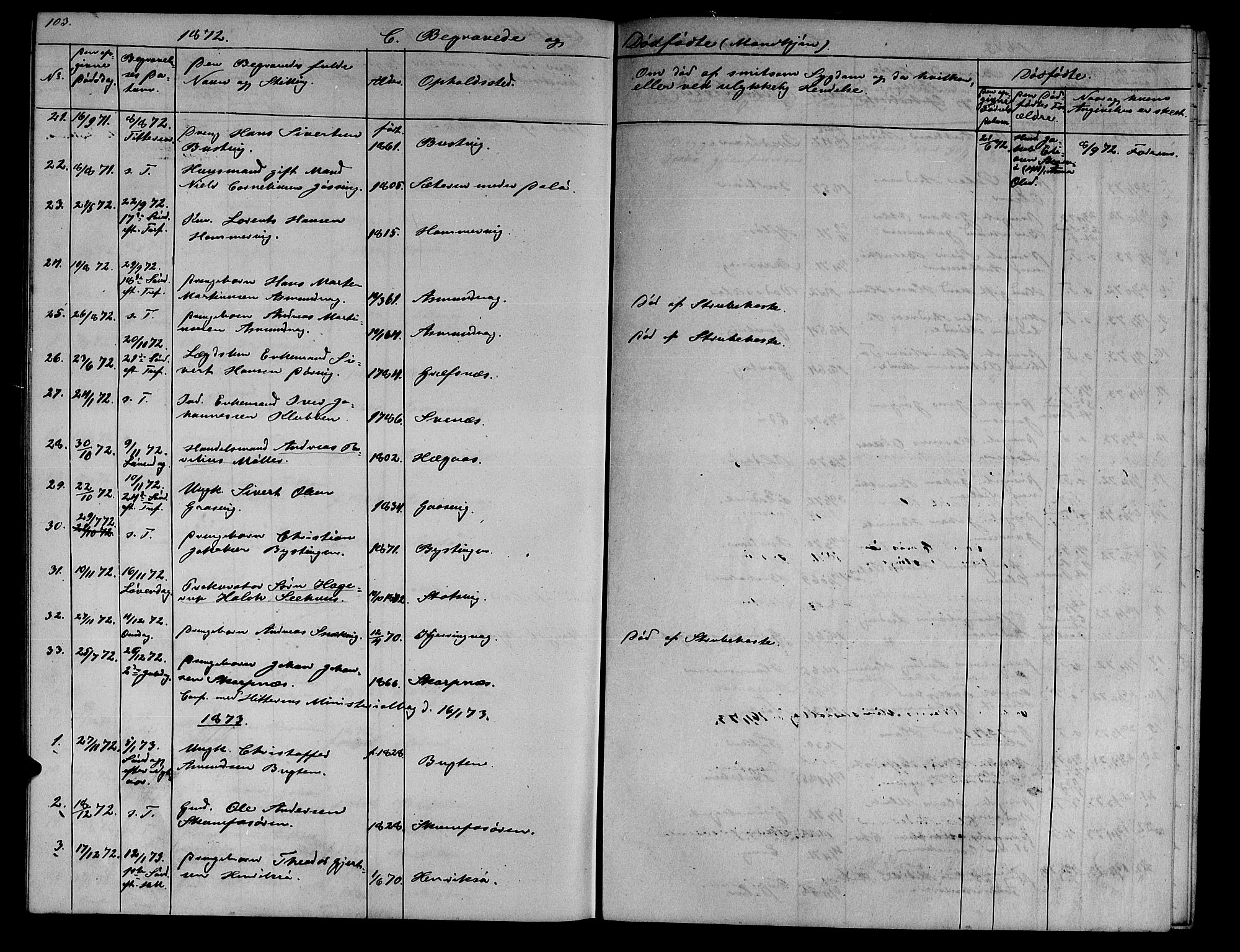 Ministerialprotokoller, klokkerbøker og fødselsregistre - Sør-Trøndelag, SAT/A-1456/634/L0539: Parish register (copy) no. 634C01, 1866-1873, p. 103