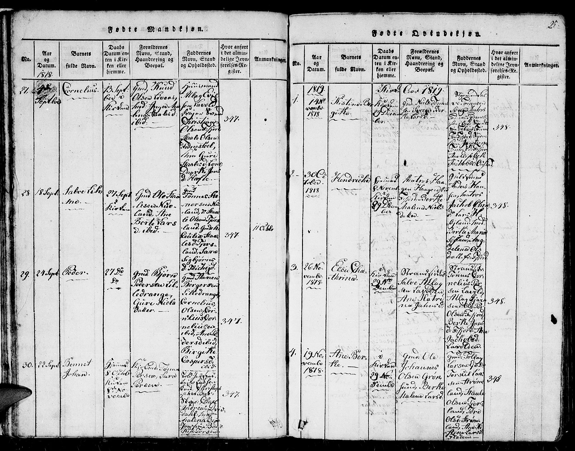 Flekkefjord sokneprestkontor, SAK/1111-0012/F/Fb/Fbc/L0003: Parish register (copy) no. B 3, 1815-1826, p. 25