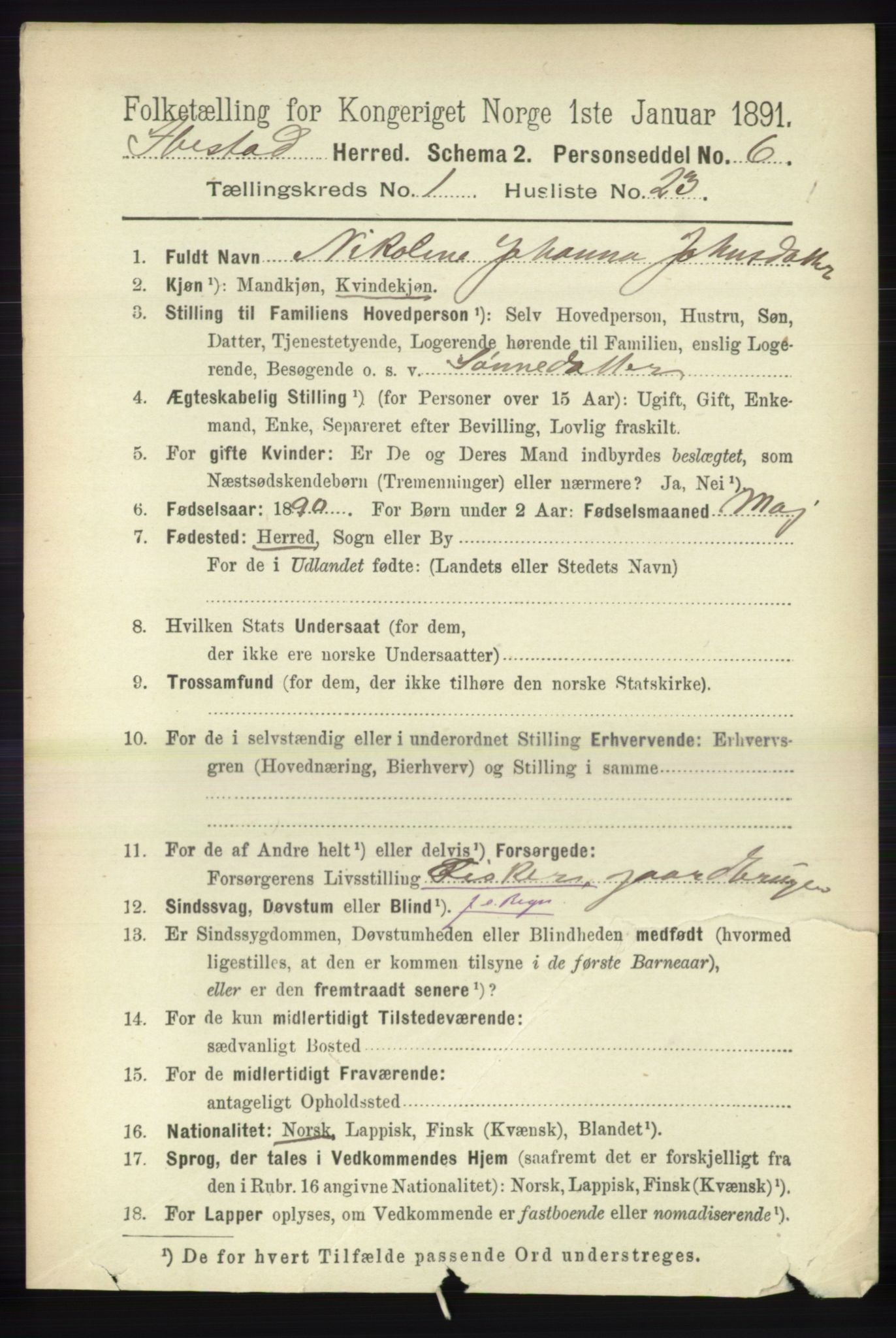 RA, 1891 census for 1917 Ibestad, 1891, p. 287