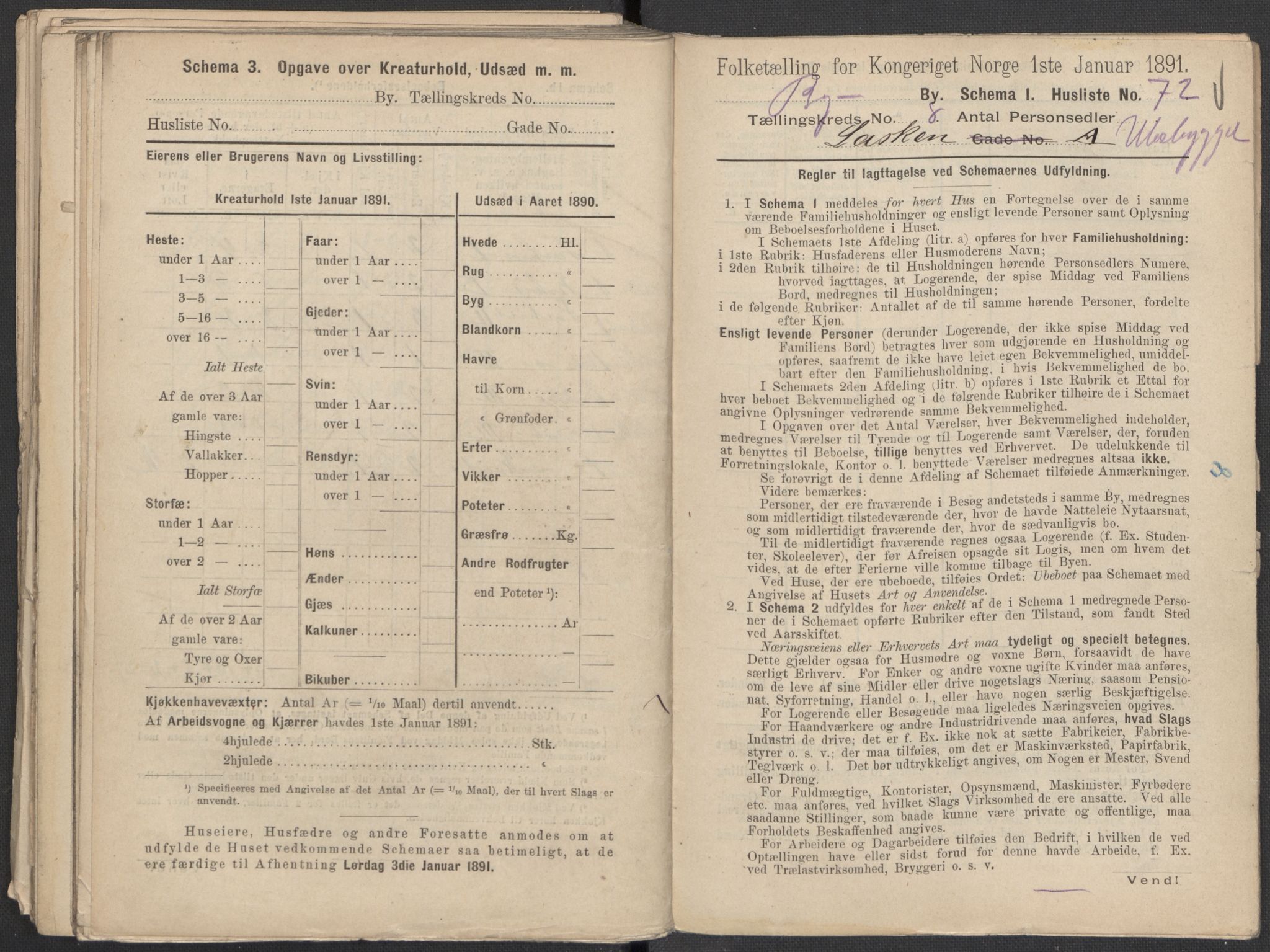 RA, 1891 Census for 1301 Bergen, 1891, p. 1482