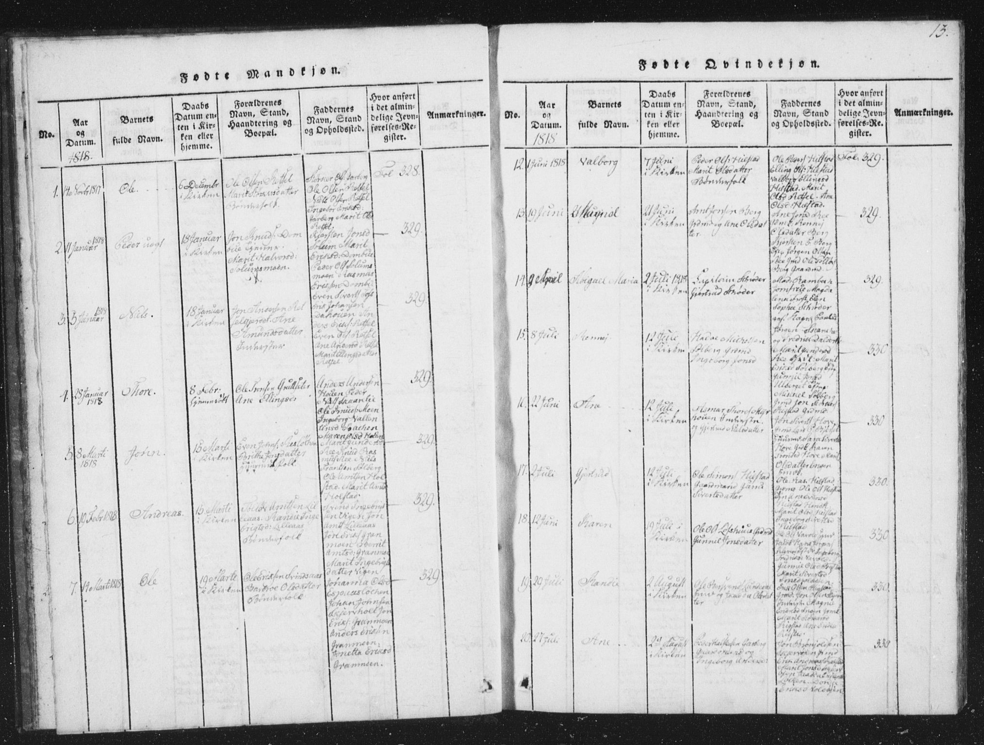 Ministerialprotokoller, klokkerbøker og fødselsregistre - Sør-Trøndelag, AV/SAT-A-1456/672/L0862: Parish register (copy) no. 672C01, 1816-1831, p. 13