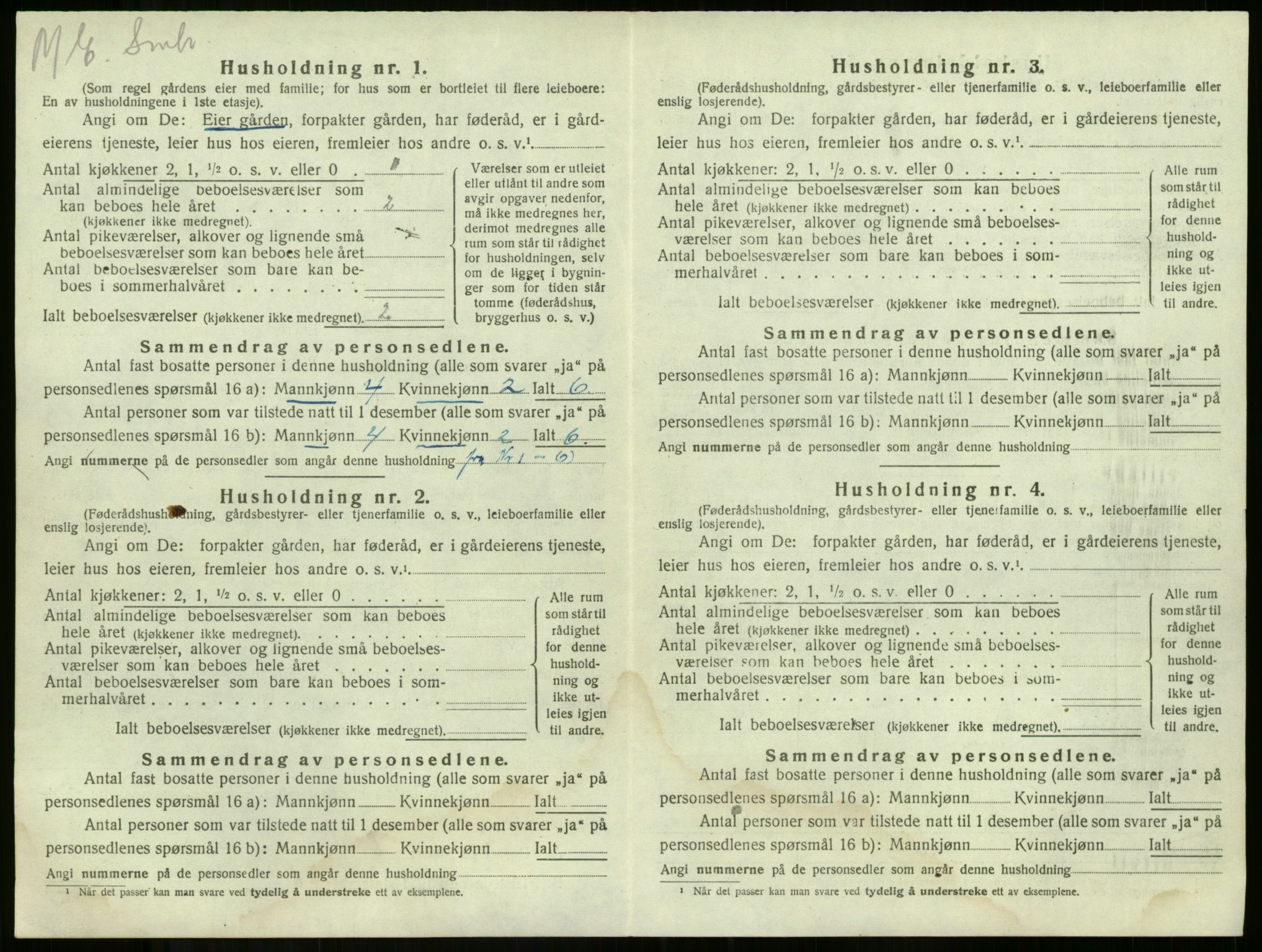 SAKO, 1920 census for Våle, 1920, p. 966