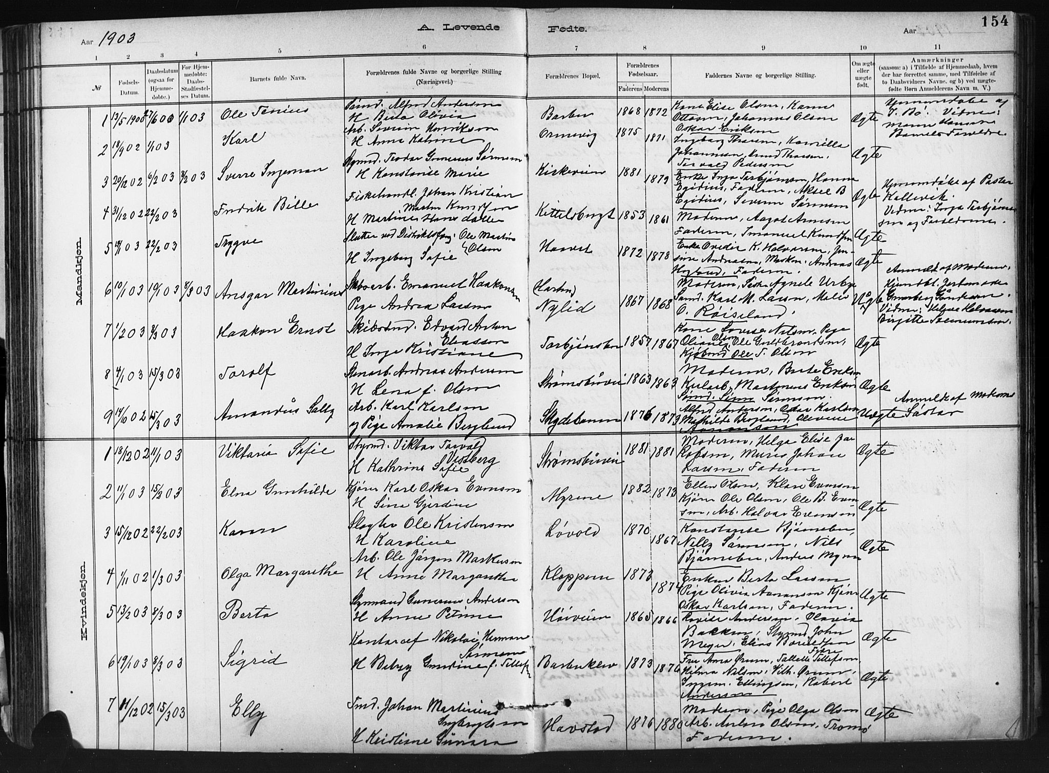 Barbu sokneprestkontor, SAK/1111-0003/F/Fb/L0002: Parish register (copy) no. B 2, 1890-1922, p. 154