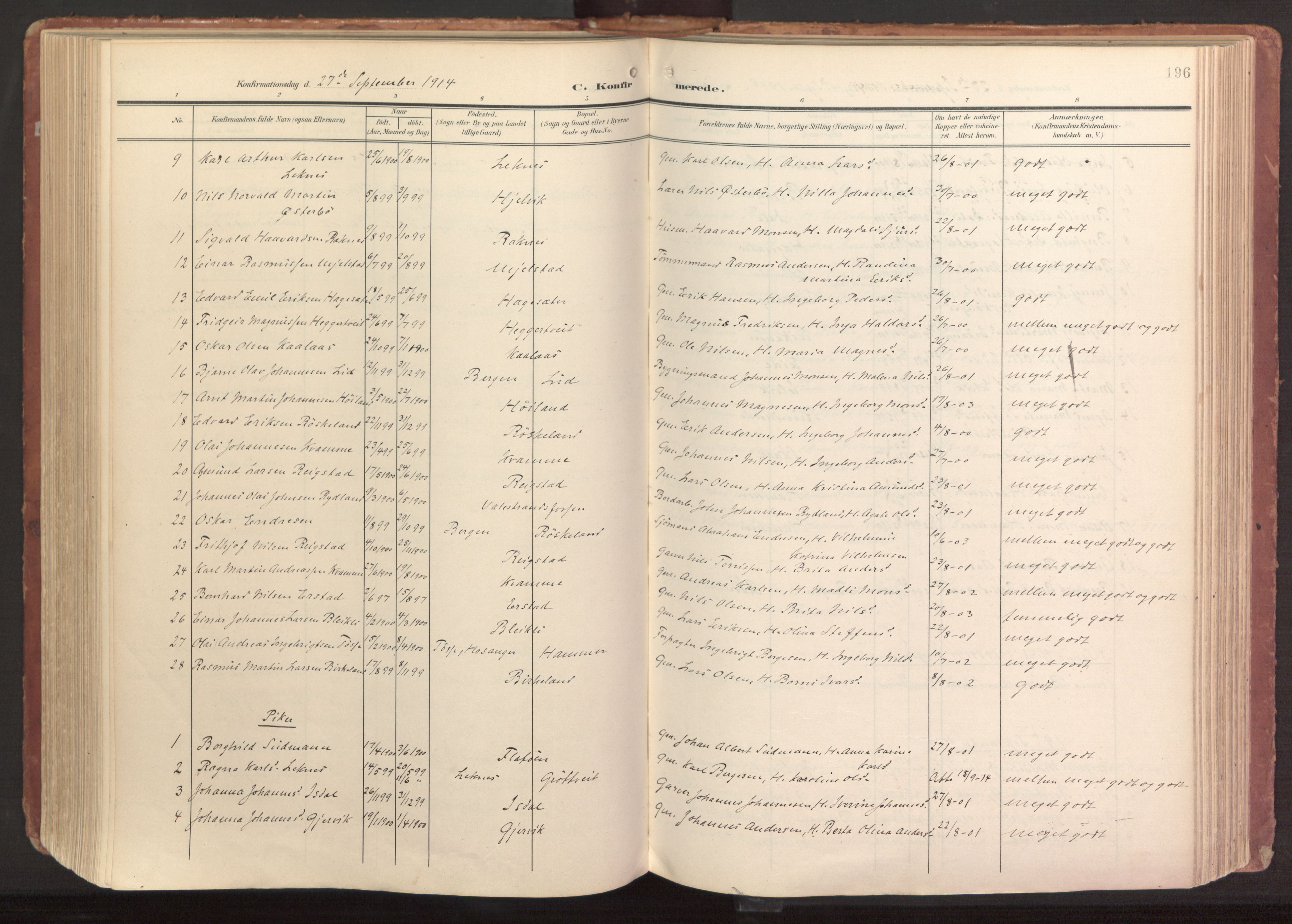 Hamre sokneprestembete, SAB/A-75501/H/Ha/Haa/Haab/L0002: Parish register (official) no. B 2, 1905-1924, p. 196
