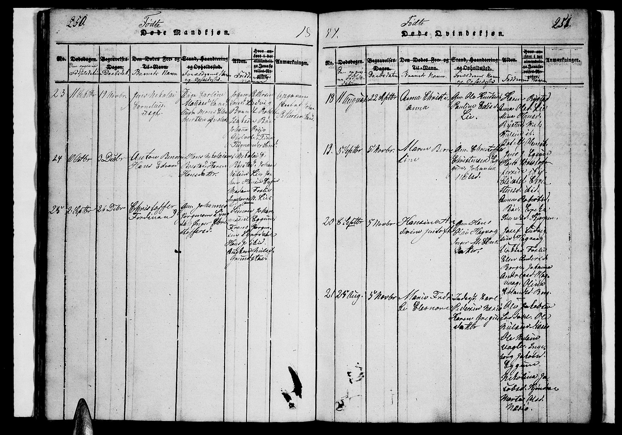 Ministerialprotokoller, klokkerbøker og fødselsregistre - Nordland, AV/SAT-A-1459/880/L1139: Parish register (copy) no. 880C01, 1836-1857, p. 250-251