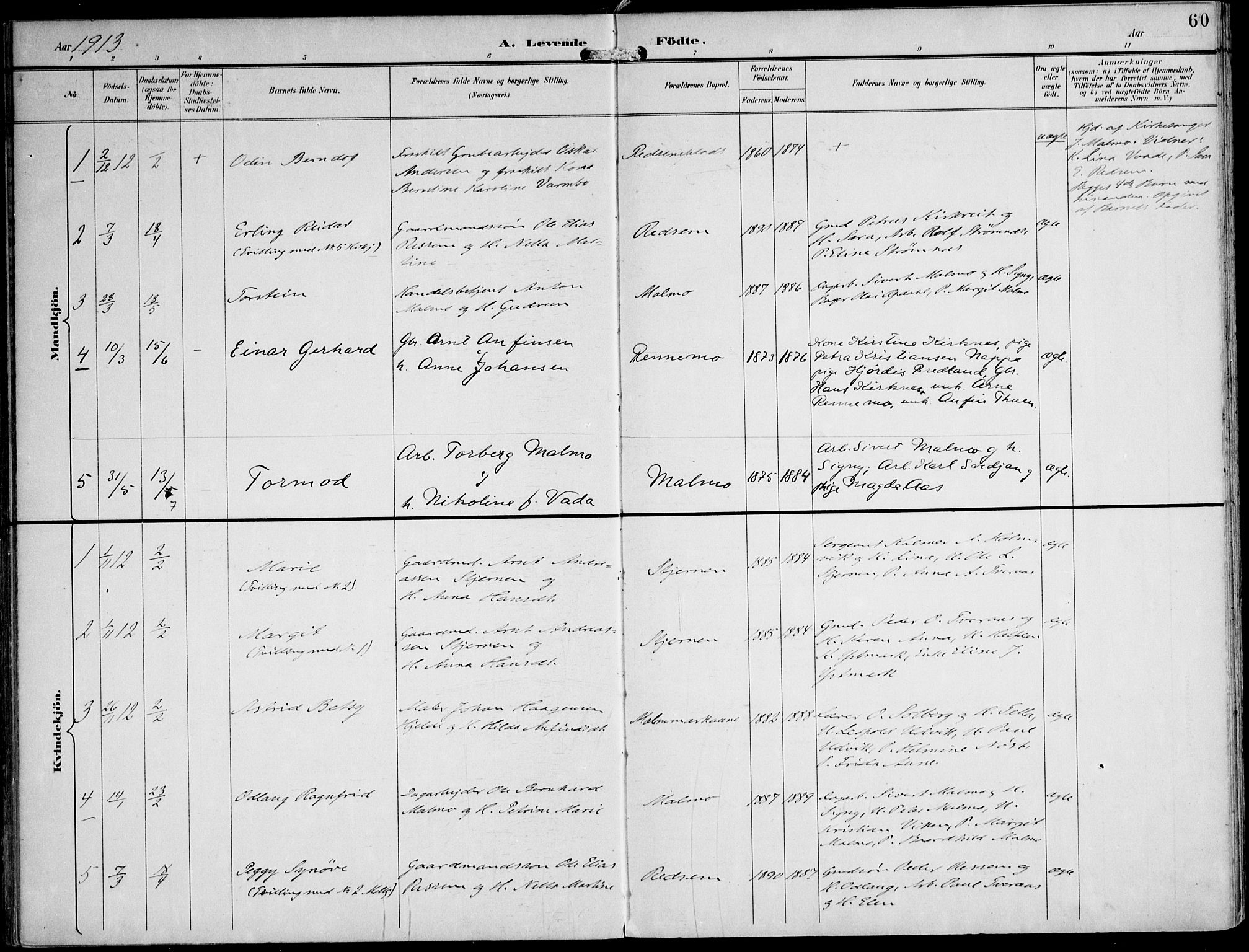 Ministerialprotokoller, klokkerbøker og fødselsregistre - Nord-Trøndelag, SAT/A-1458/745/L0430: Parish register (official) no. 745A02, 1895-1913, p. 60