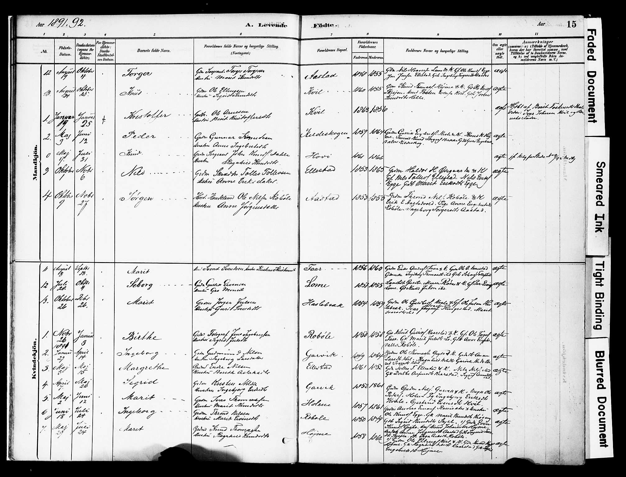 Vestre Slidre prestekontor, SAH/PREST-136/H/Ha/Haa/L0005: Parish register (official) no. 5, 1881-1912, p. 15