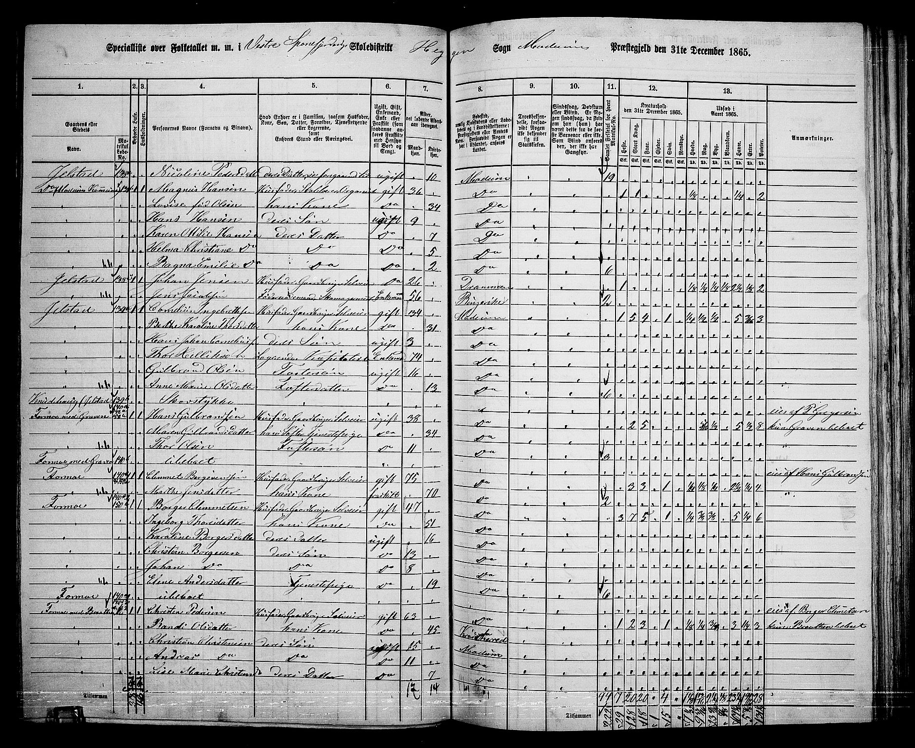 RA, 1865 census for Modum, 1865, p. 193