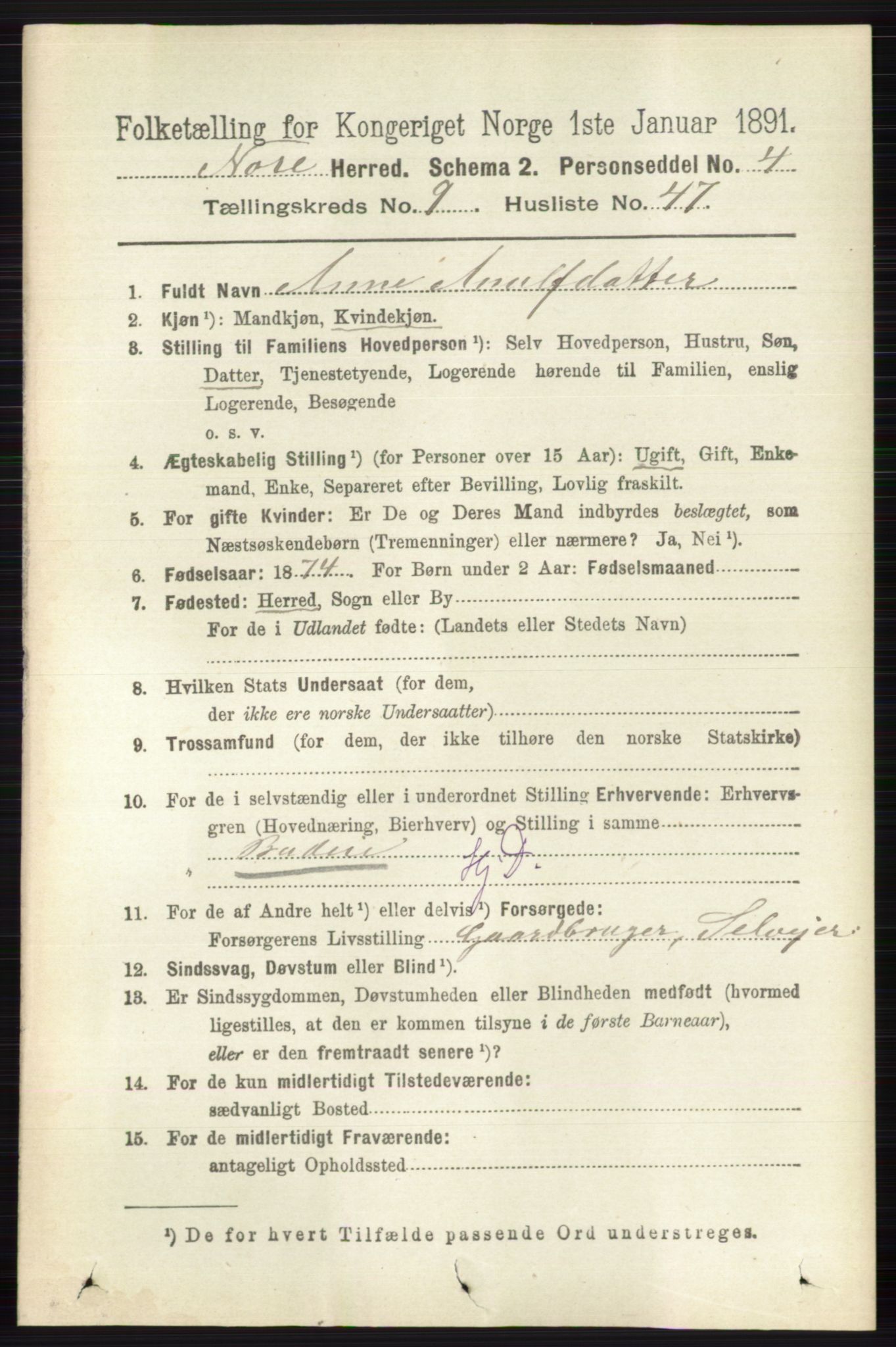 RA, 1891 census for 0633 Nore, 1891, p. 3481