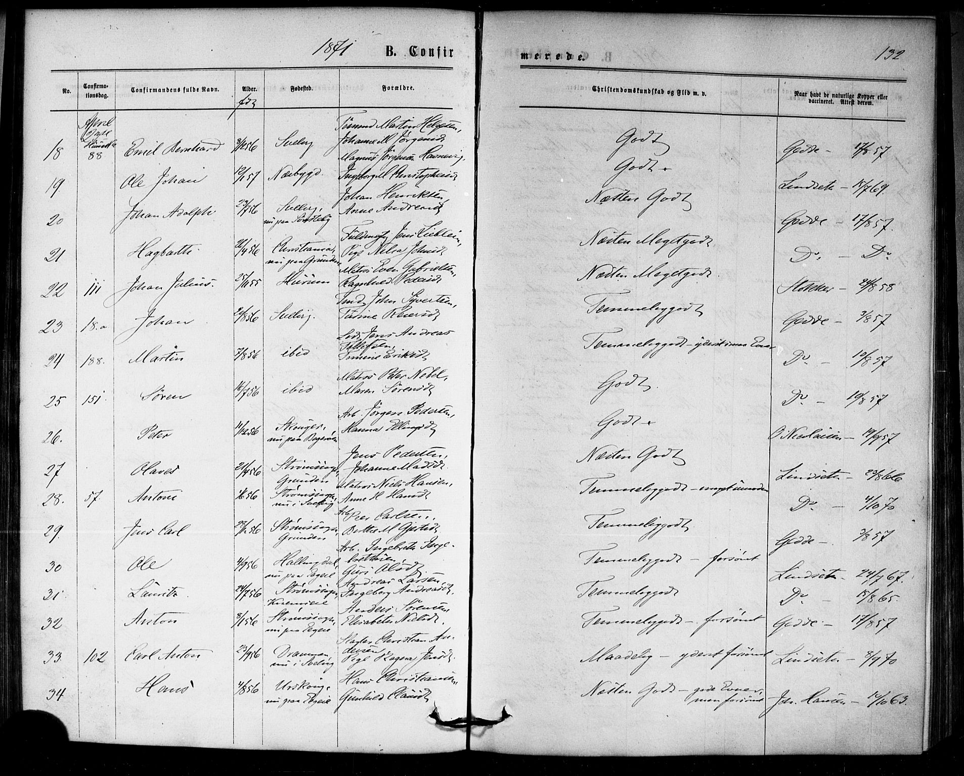 Strømm kirkebøker, AV/SAKO-A-322/F/Fa/L0002: Parish register (official) no. I 2, 1870-1877, p. 132