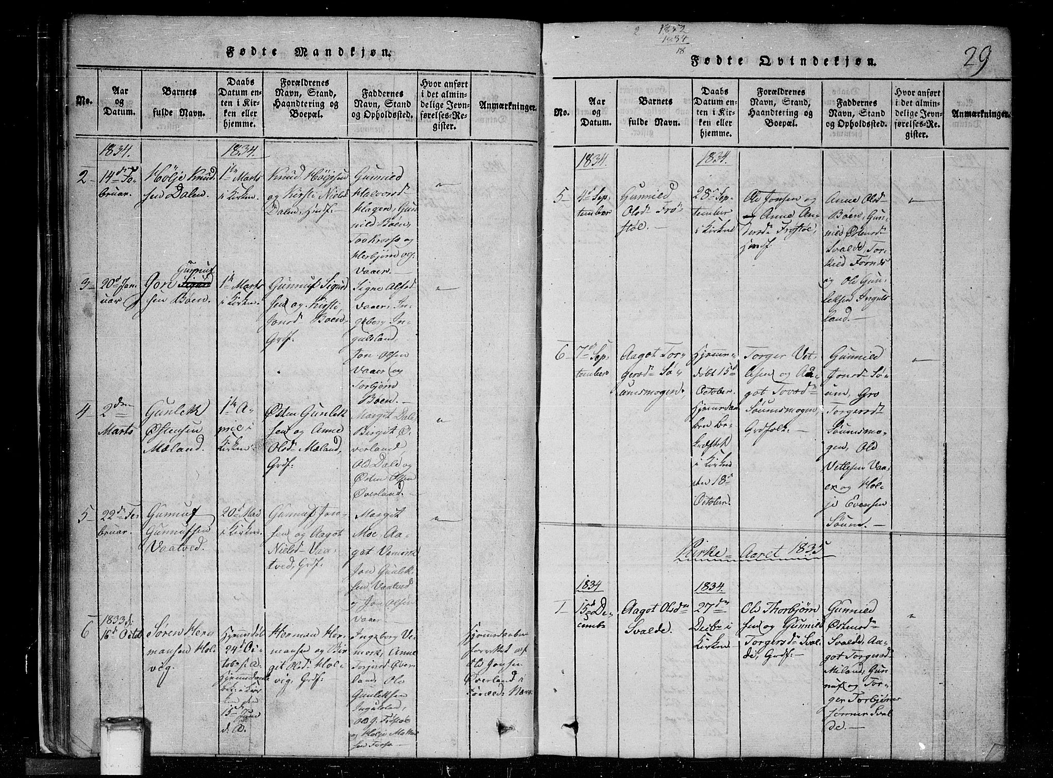 Tinn kirkebøker, SAKO/A-308/G/Gc/L0001: Parish register (copy) no. III 1, 1815-1879, p. 29