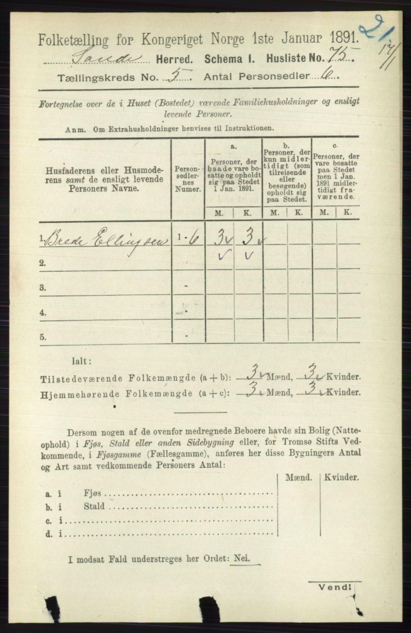 RA, 1891 census for 0713 Sande, 1891, p. 2134