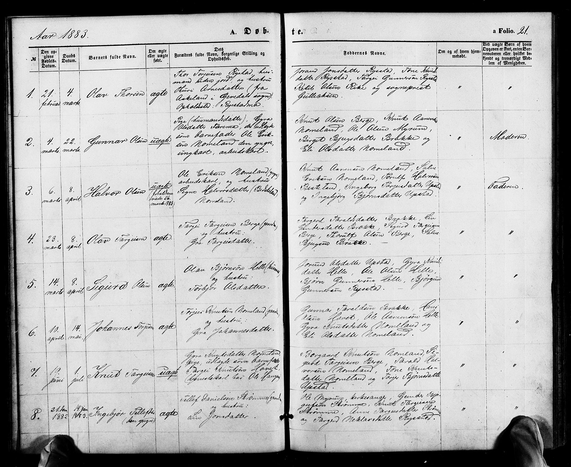 Valle sokneprestkontor, SAK/1111-0044/F/Fb/Fbb/L0002: Parish register (copy) no. B 2, 1875-1921, p. 21