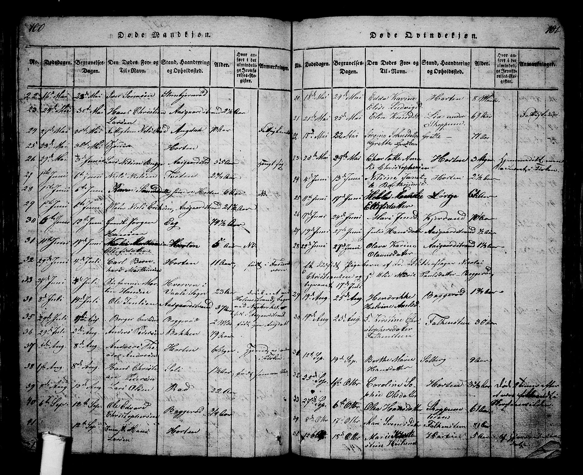 Borre kirkebøker, AV/SAKO-A-338/G/Ga/L0001: Parish register (copy) no. I 1, 1815-1851, p. 100-101