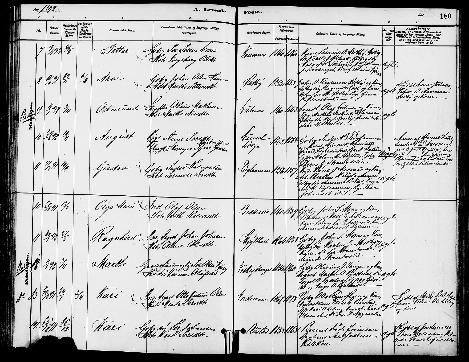 Trysil prestekontor, AV/SAH-PREST-046/H/Ha/Haa/L0008: Parish register (official) no. 8, 1881-1897, p. 180