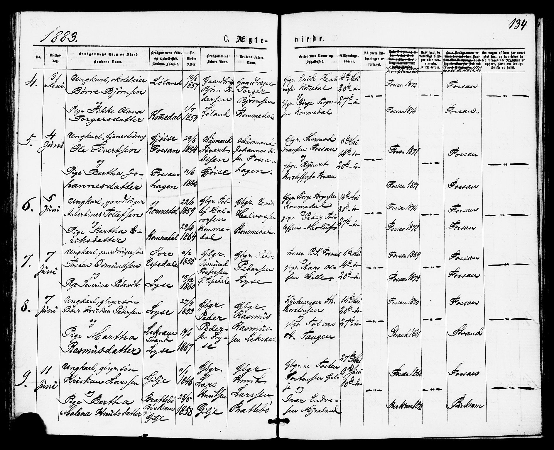 Høgsfjord sokneprestkontor, AV/SAST-A-101624/H/Ha/Haa/L0004: Parish register (official) no. A 4, 1876-1884, p. 134