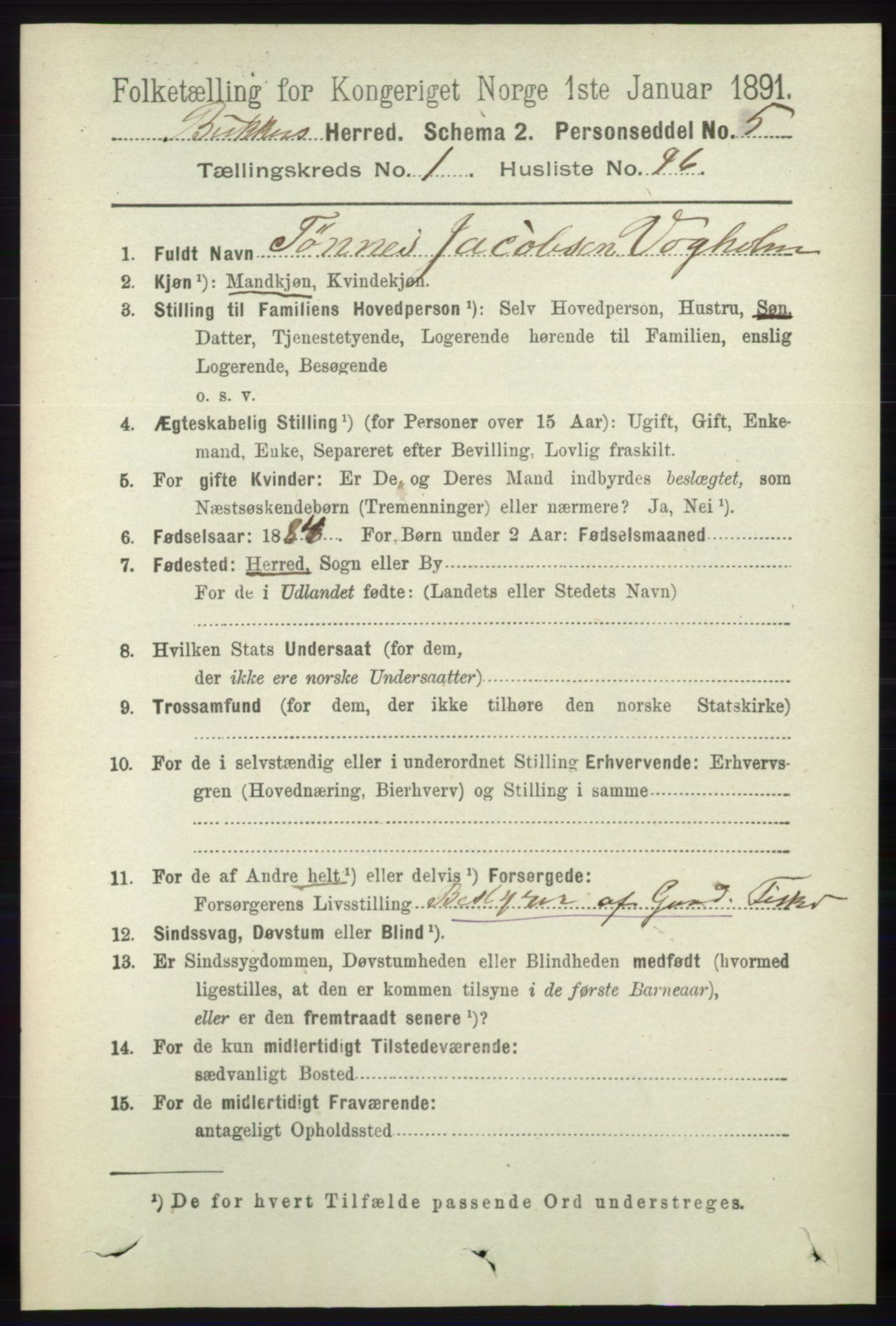 RA, 1891 census for 1145 Bokn, 1891, p. 291