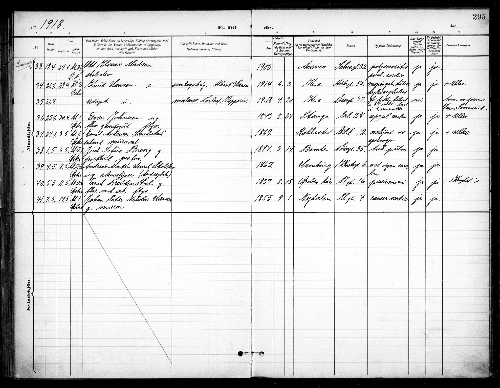 Grønland prestekontor Kirkebøker, SAO/A-10848/F/Fa/L0016: Parish register (official) no. 16, 1898-1918, p. 295