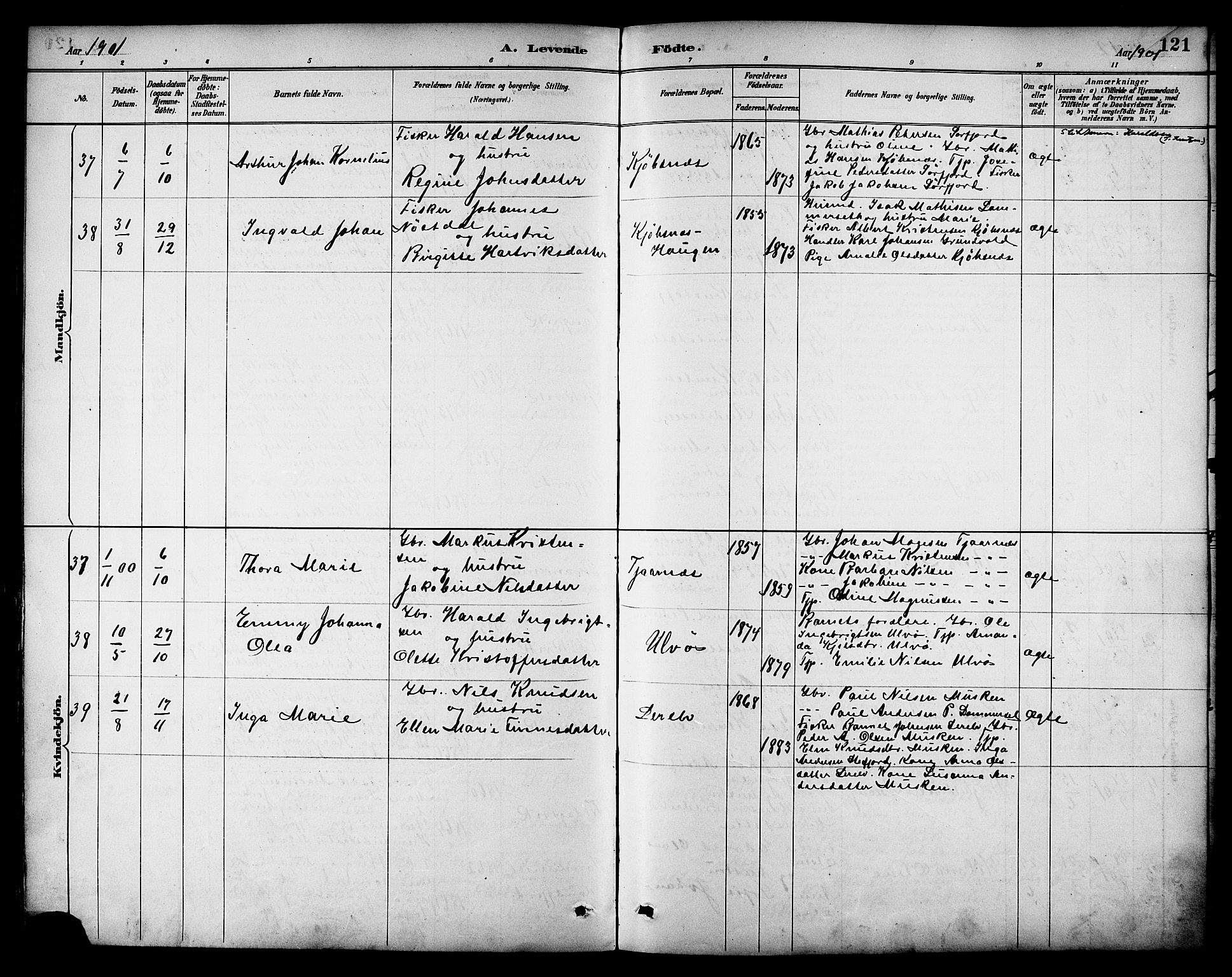 Ministerialprotokoller, klokkerbøker og fødselsregistre - Nordland, AV/SAT-A-1459/861/L0869: Parish register (official) no. 861A04, 1889-1903, p. 121