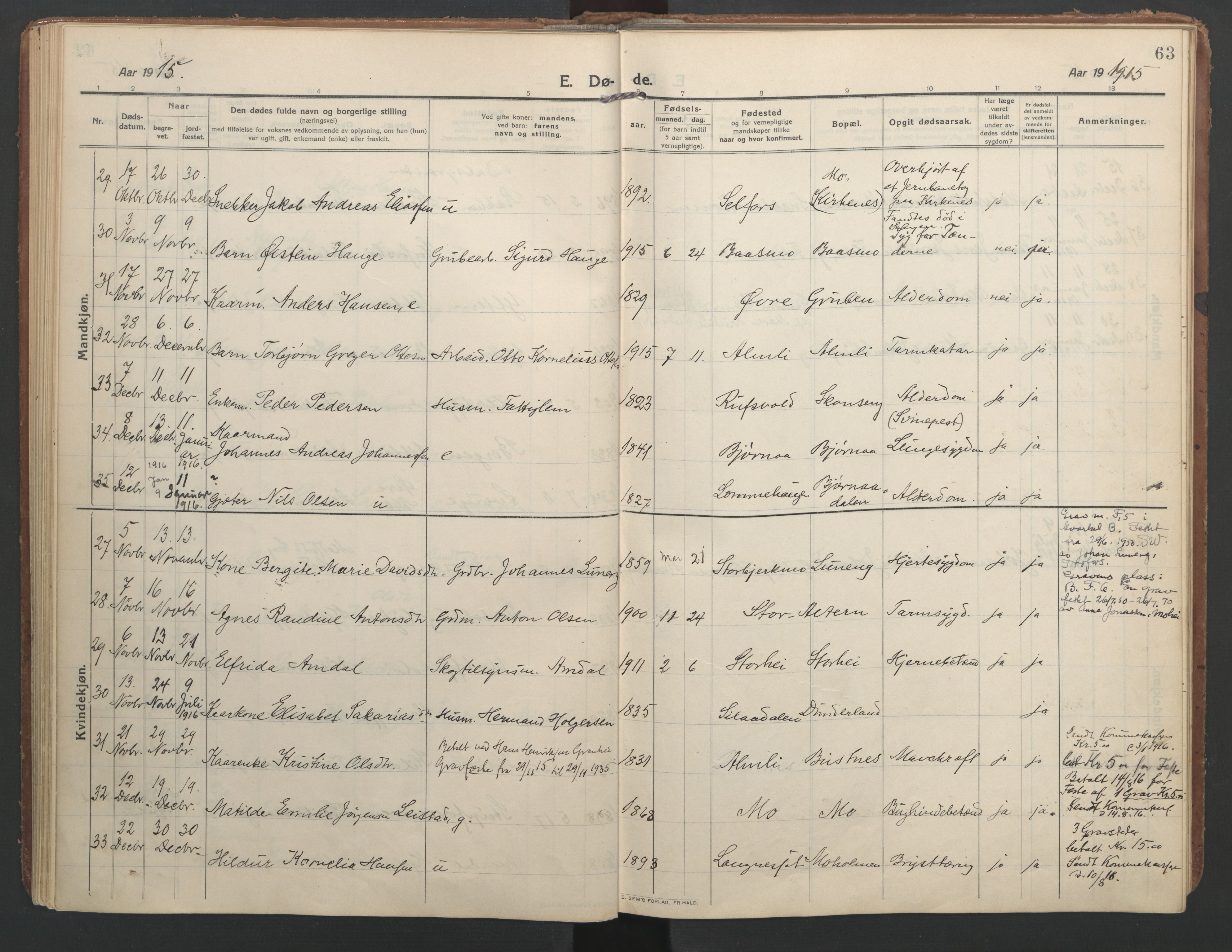 Ministerialprotokoller, klokkerbøker og fødselsregistre - Nordland, AV/SAT-A-1459/827/L0405: Parish register (official) no. 827A17, 1912-1925, p. 63