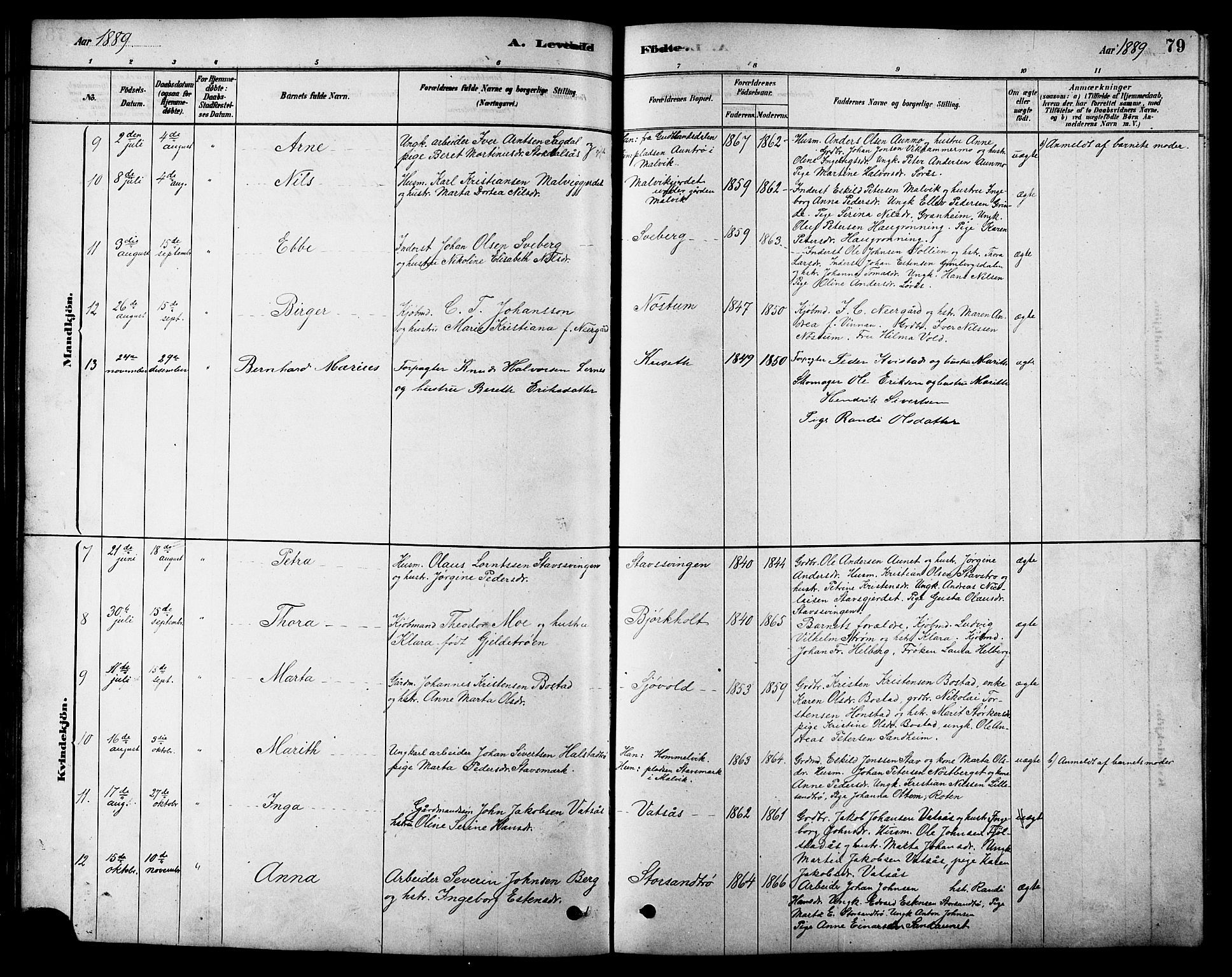 Ministerialprotokoller, klokkerbøker og fødselsregistre - Sør-Trøndelag, AV/SAT-A-1456/616/L0423: Parish register (copy) no. 616C06, 1878-1903, p. 79