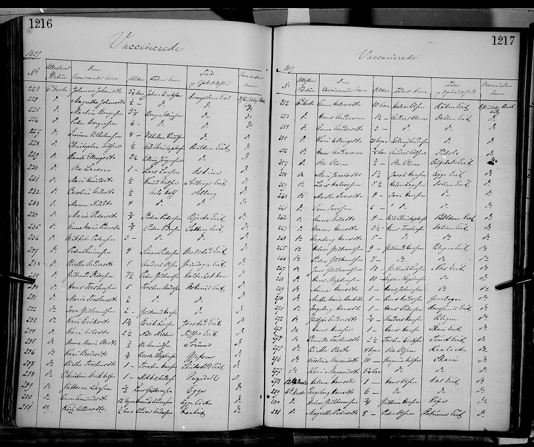Gran prestekontor, SAH/PREST-112/H/Ha/Haa/L0012: Parish register (official) no. 12, 1856-1874, p. 1216-1217