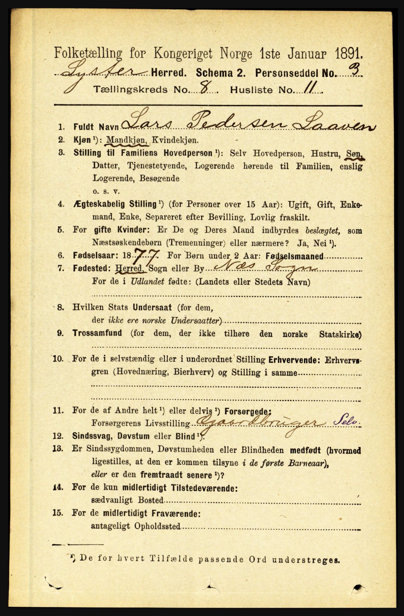 RA, 1891 census for 1426 Luster, 1891, p. 2735