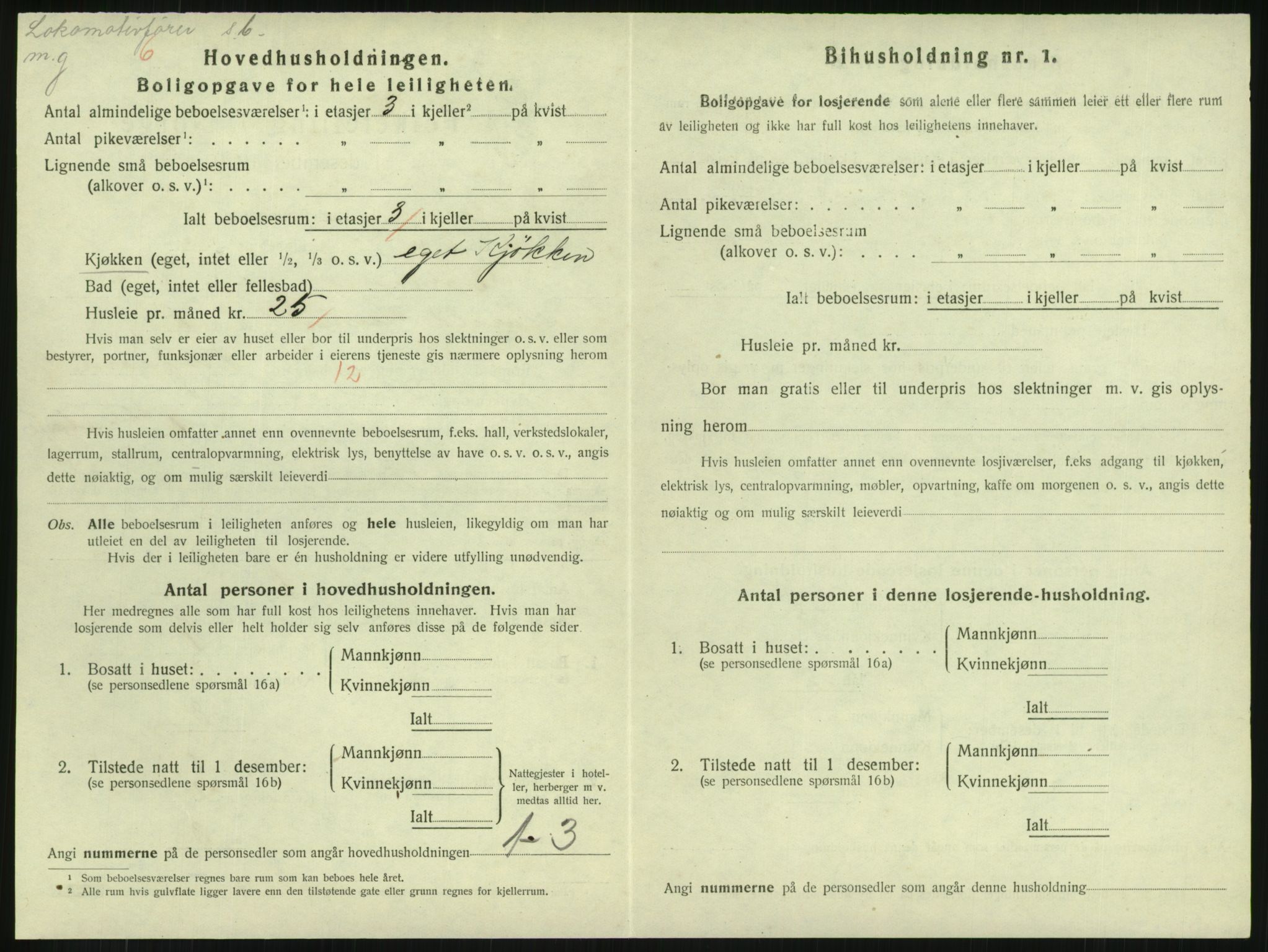 SAKO, 1920 census for Horten, 1920, p. 6866