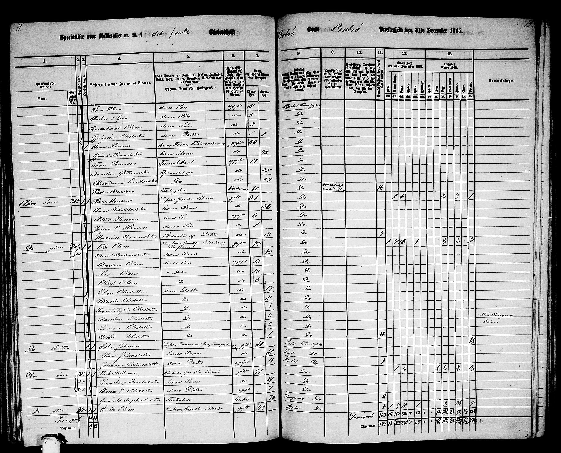 RA, 1865 census for Bolsøy, 1865, p. 38