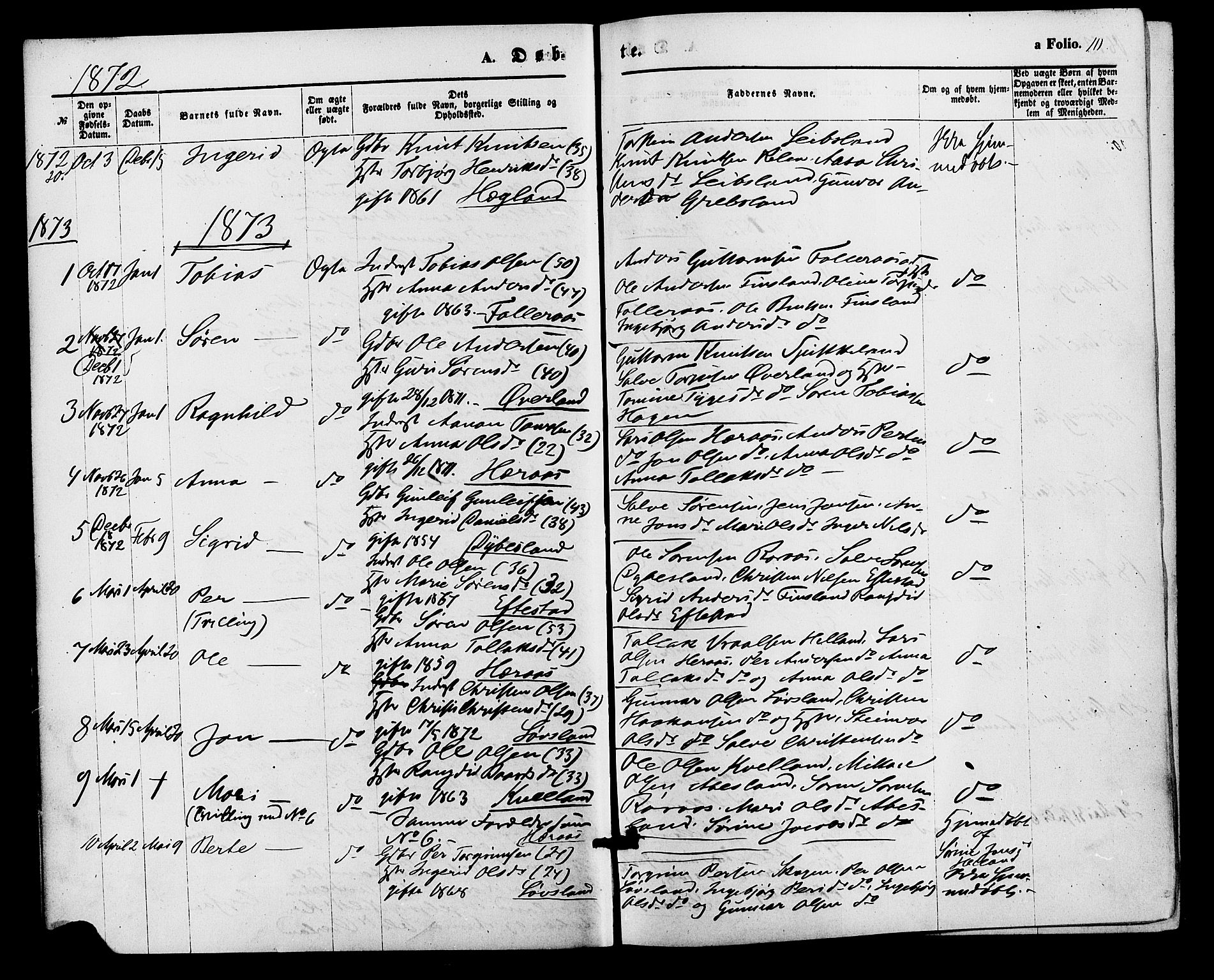 Bjelland sokneprestkontor, SAK/1111-0005/F/Fa/Fab/L0003: Parish register (official) no. A 3, 1870-1887, p. 10