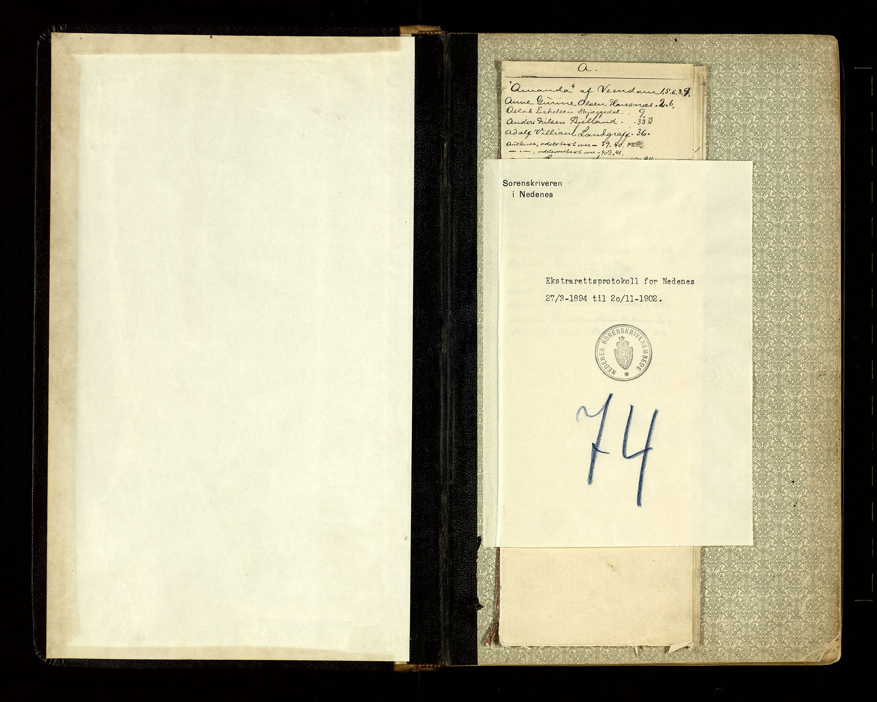 Nedenes sorenskriveri, SAK/1221-0006/F/Fb/L0008: Ekstrarettsprotokoll nr 8, 1894-1902