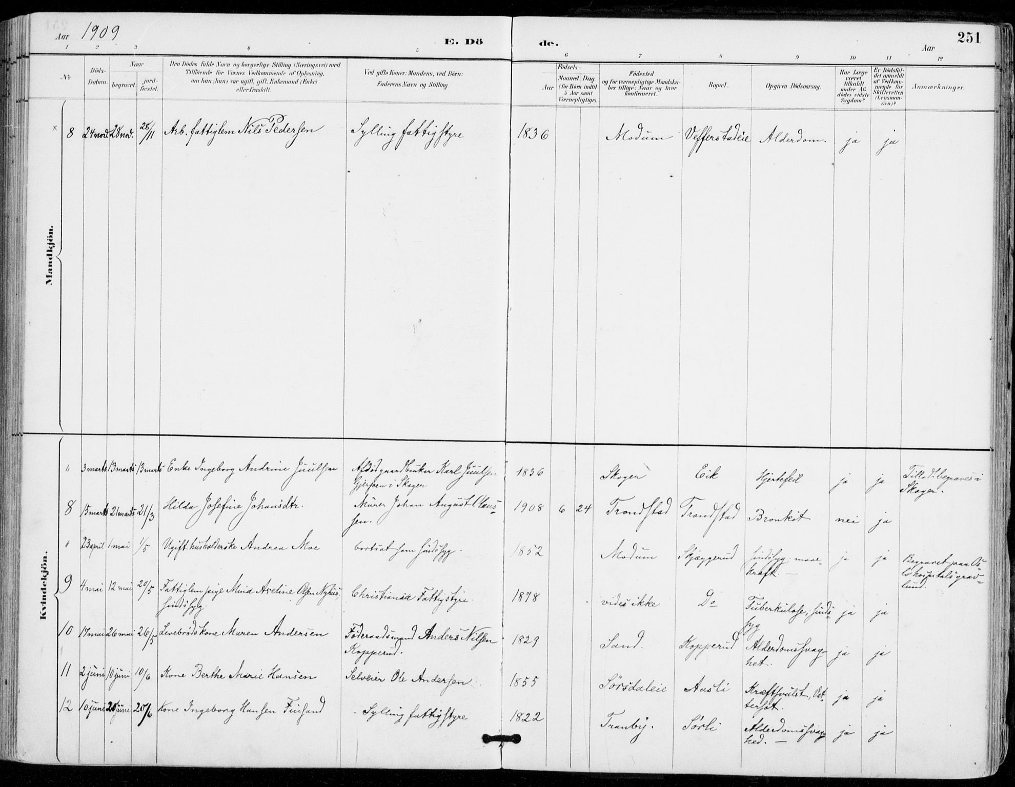 Sylling kirkebøker, AV/SAKO-A-247/F/Fa/L0001: Parish register (official) no. 1, 1883-1910, p. 251