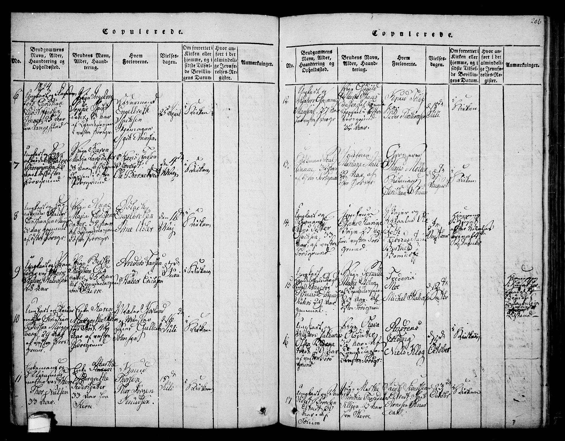 Porsgrunn kirkebøker , SAKO/A-104/F/Fa/L0004: Parish register (official) no. 4, 1814-1828, p. 206