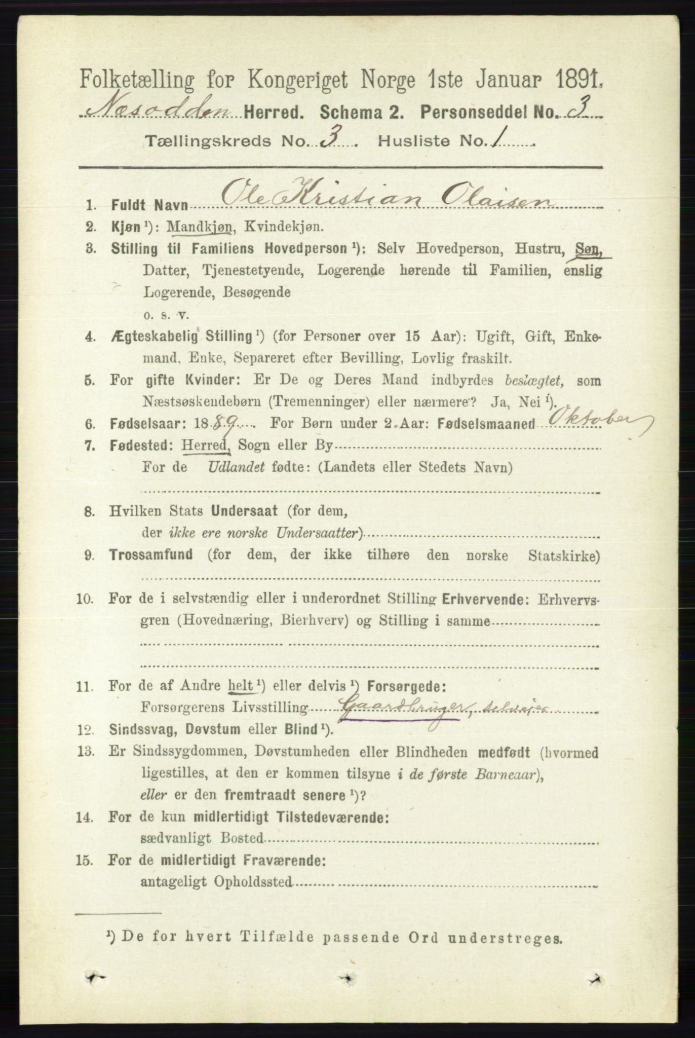 RA, 1891 census for 0216 Nesodden, 1891, p. 1065