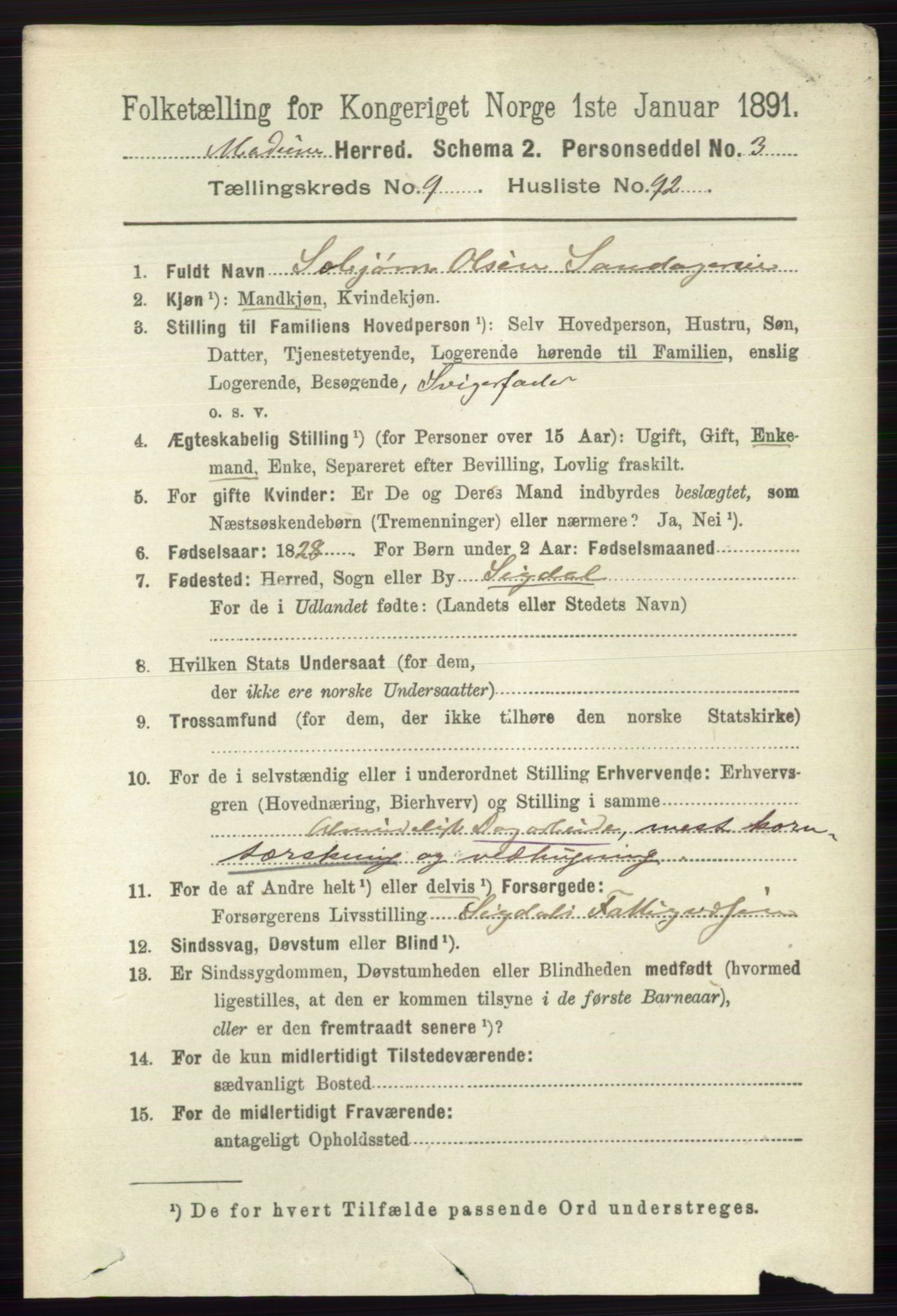 RA, 1891 census for 0623 Modum, 1891, p. 3942