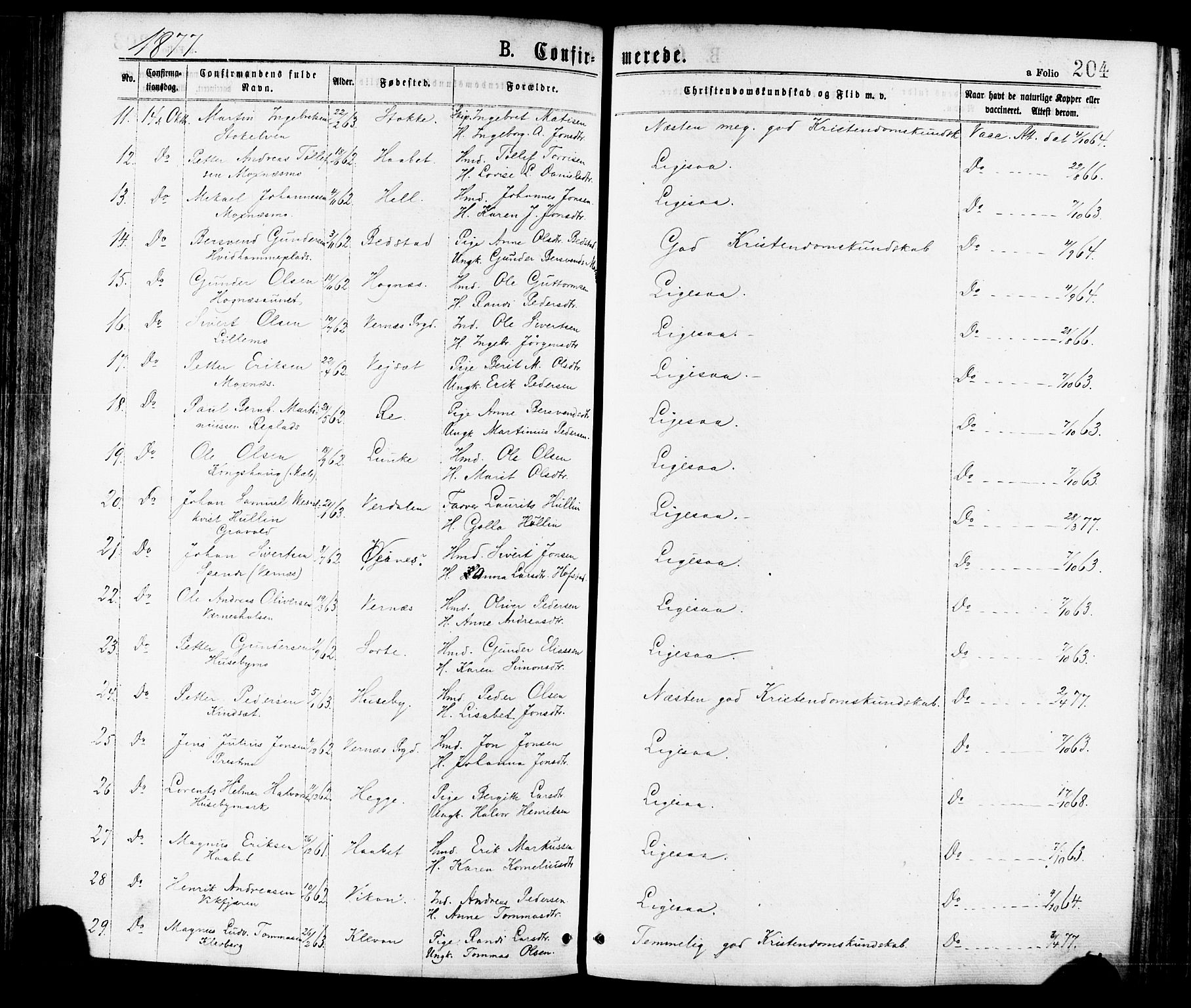 Ministerialprotokoller, klokkerbøker og fødselsregistre - Nord-Trøndelag, AV/SAT-A-1458/709/L0076: Parish register (official) no. 709A16, 1871-1879, p. 204