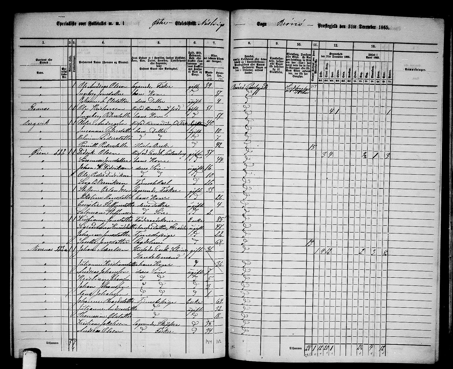 RA, 1865 census for Brønnøy, 1865, p. 202