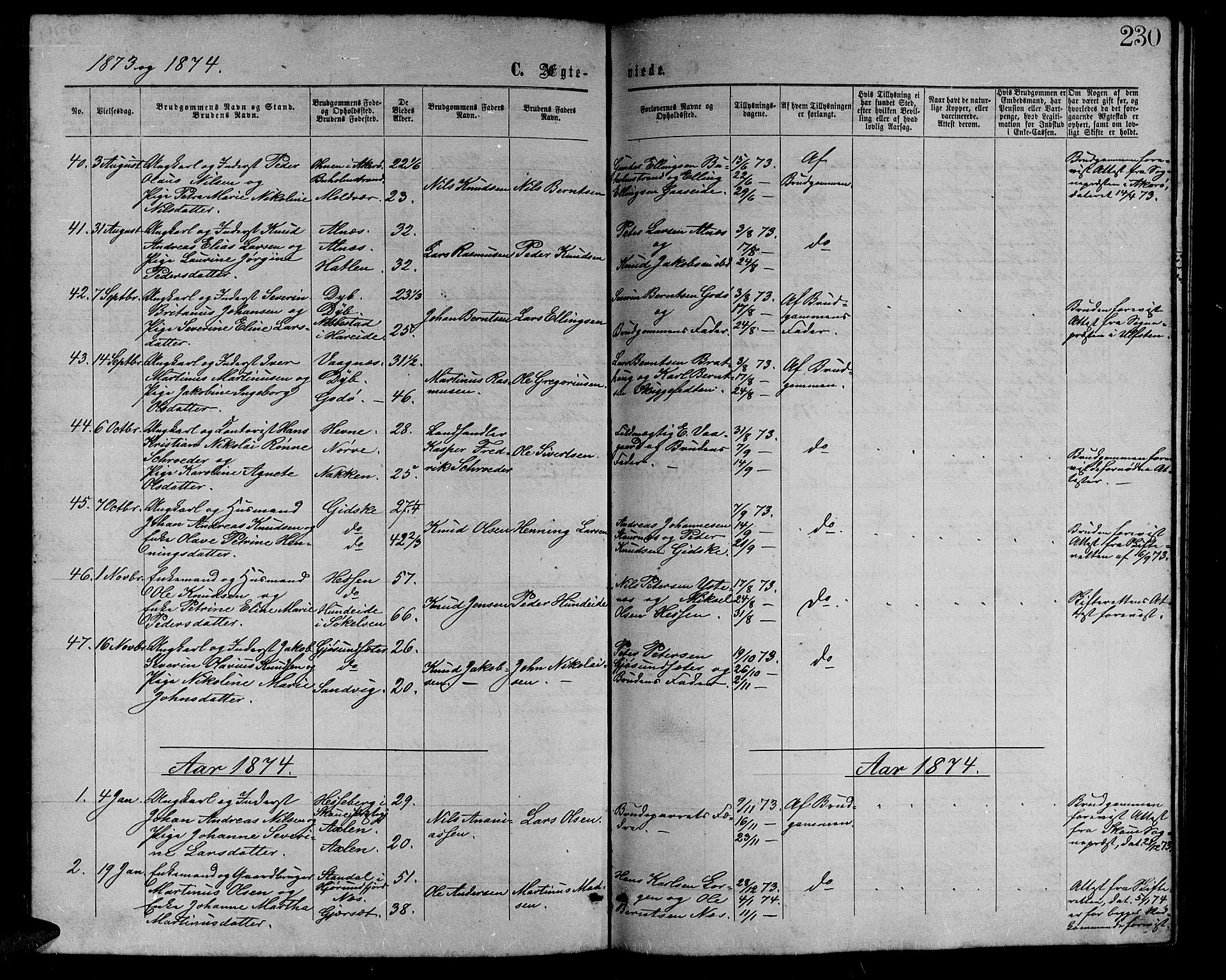 Ministerialprotokoller, klokkerbøker og fødselsregistre - Møre og Romsdal, AV/SAT-A-1454/528/L0428: Parish register (copy) no. 528C09, 1864-1880, p. 230