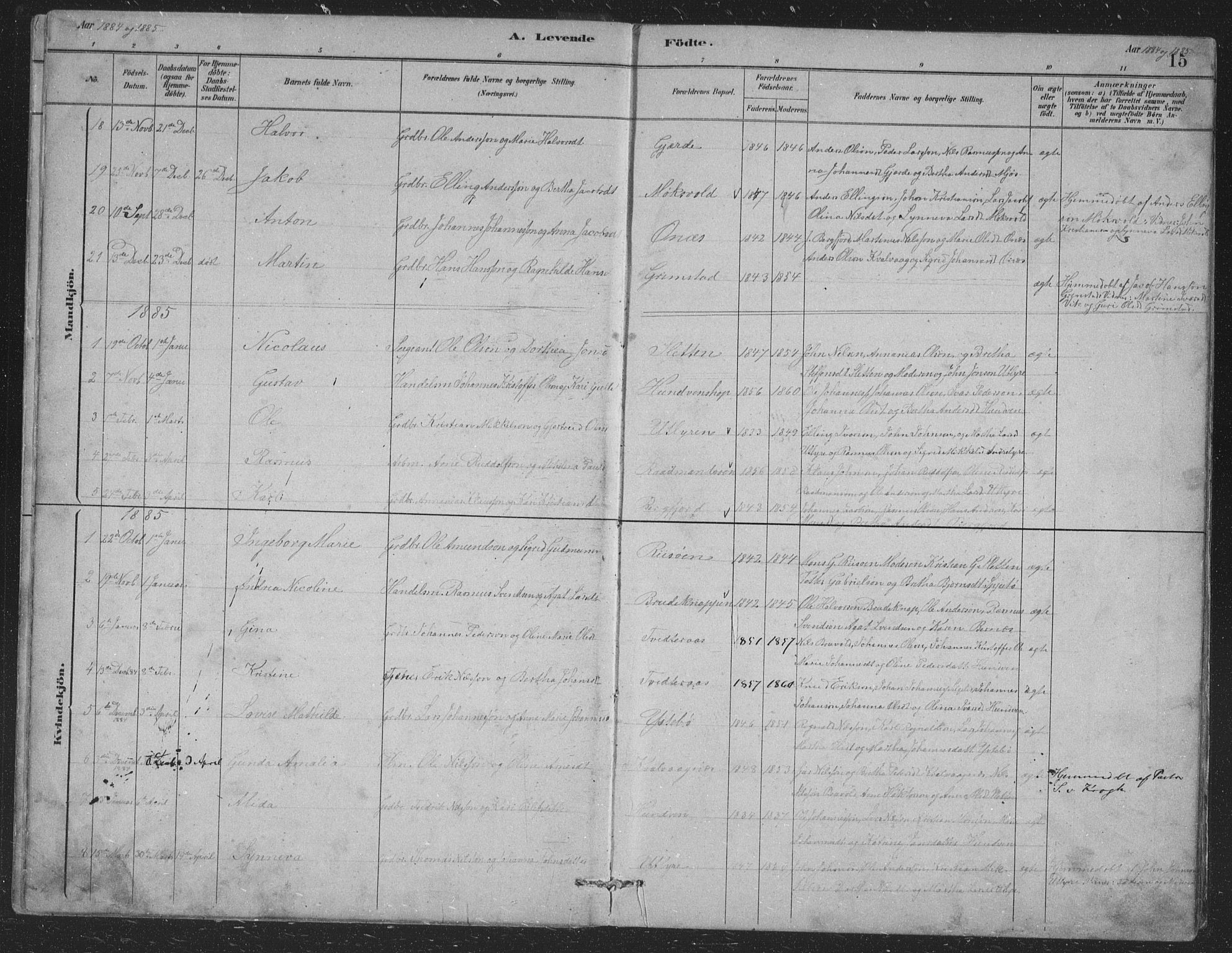 Alversund Sokneprestembete, SAB/A-73901/H/Ha/Hab: Parish register (copy) no. B 3, 1881-1896, p. 15