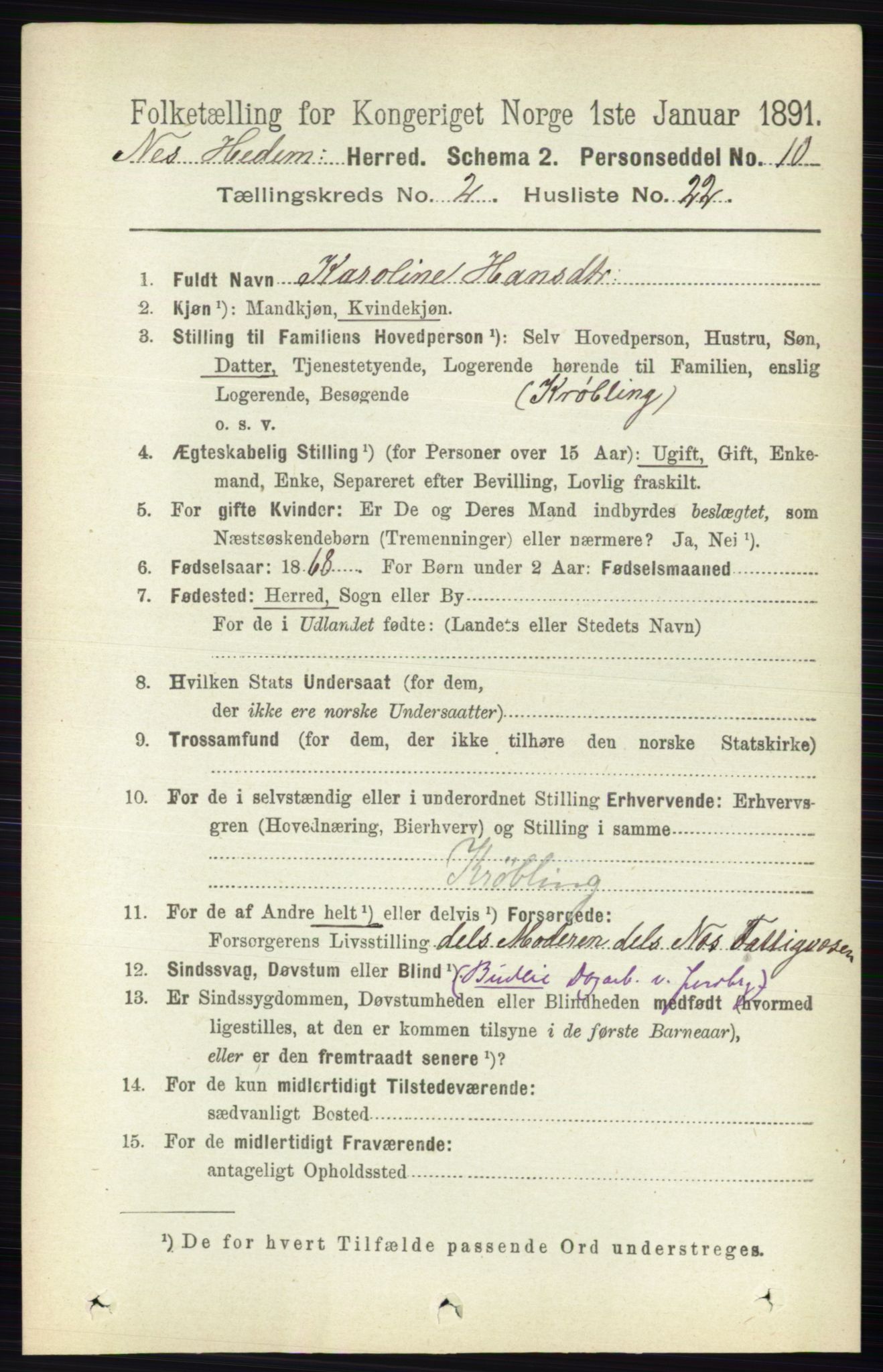 RA, 1891 census for 0411 Nes, 1891, p. 1244