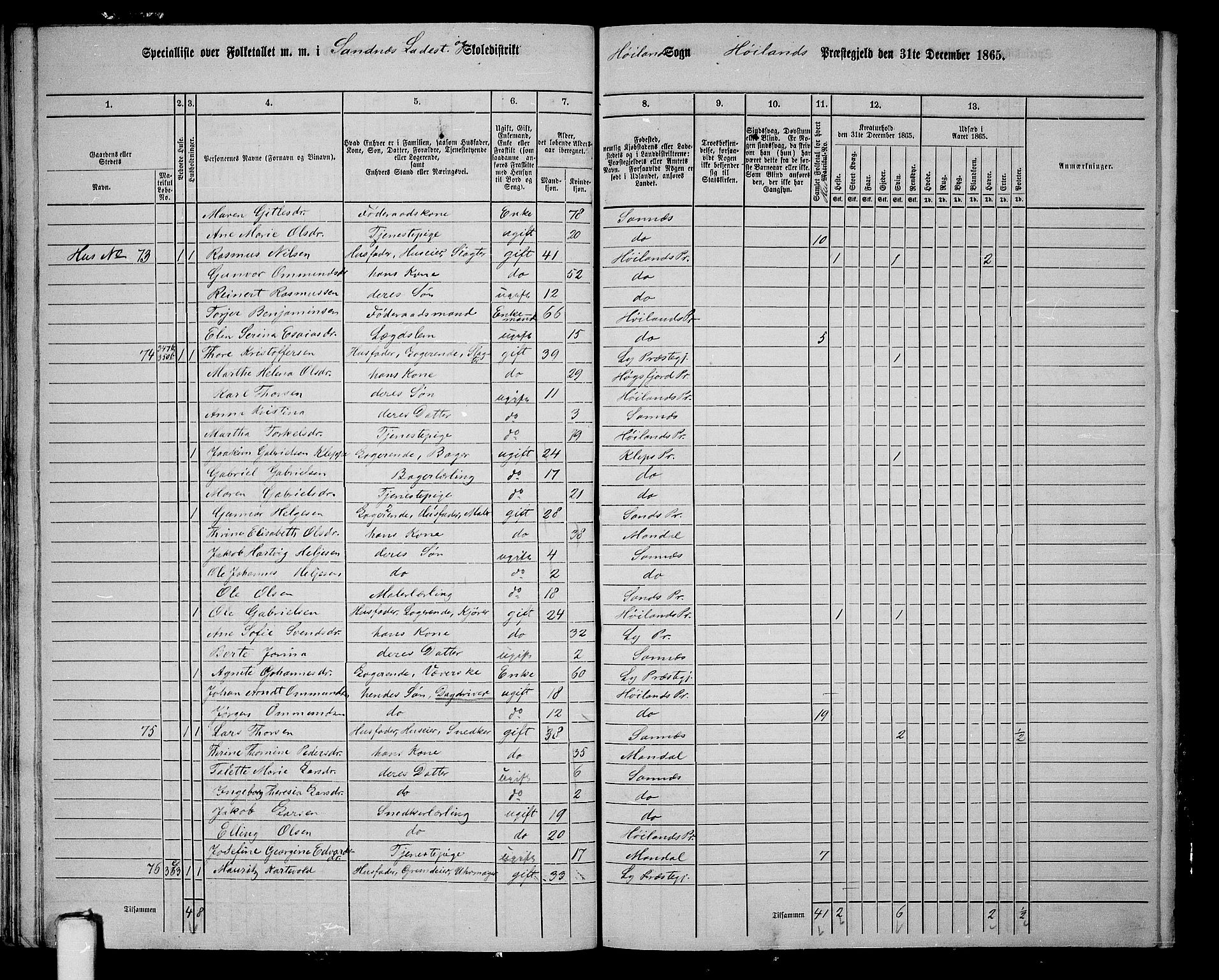 RA, 1865 census for Høyland, 1865, p. 168