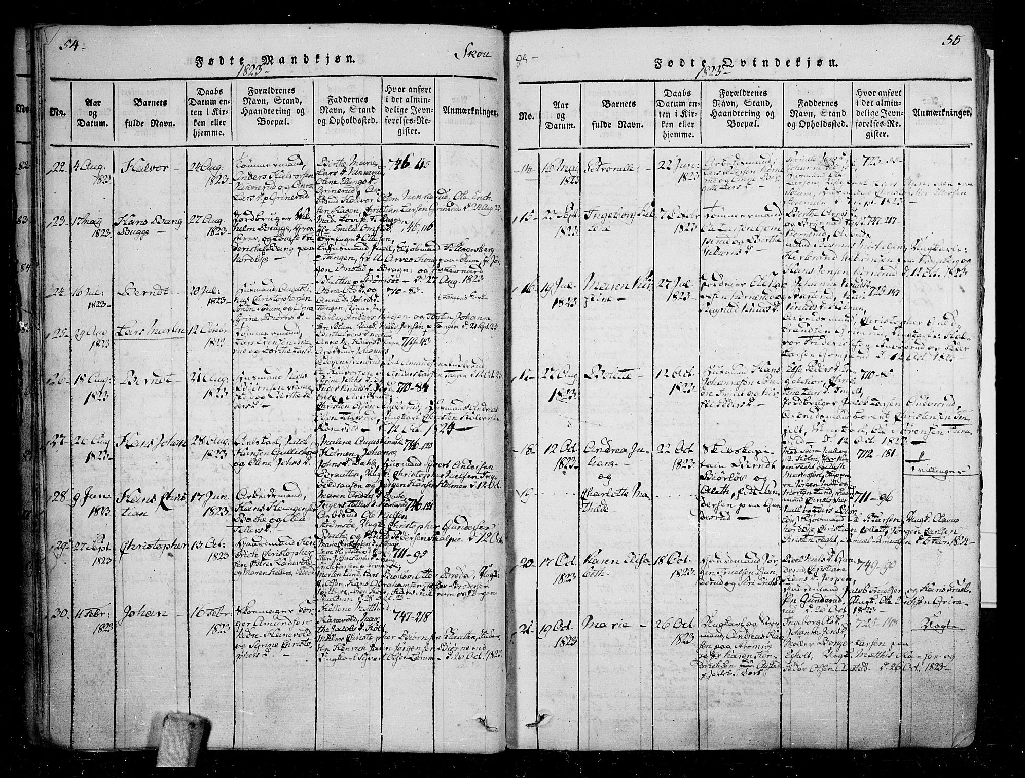 Skoger kirkebøker, SAKO/A-59/F/Fa/L0002: Parish register (official) no. I 2 /1, 1814-1842, p. 54-55