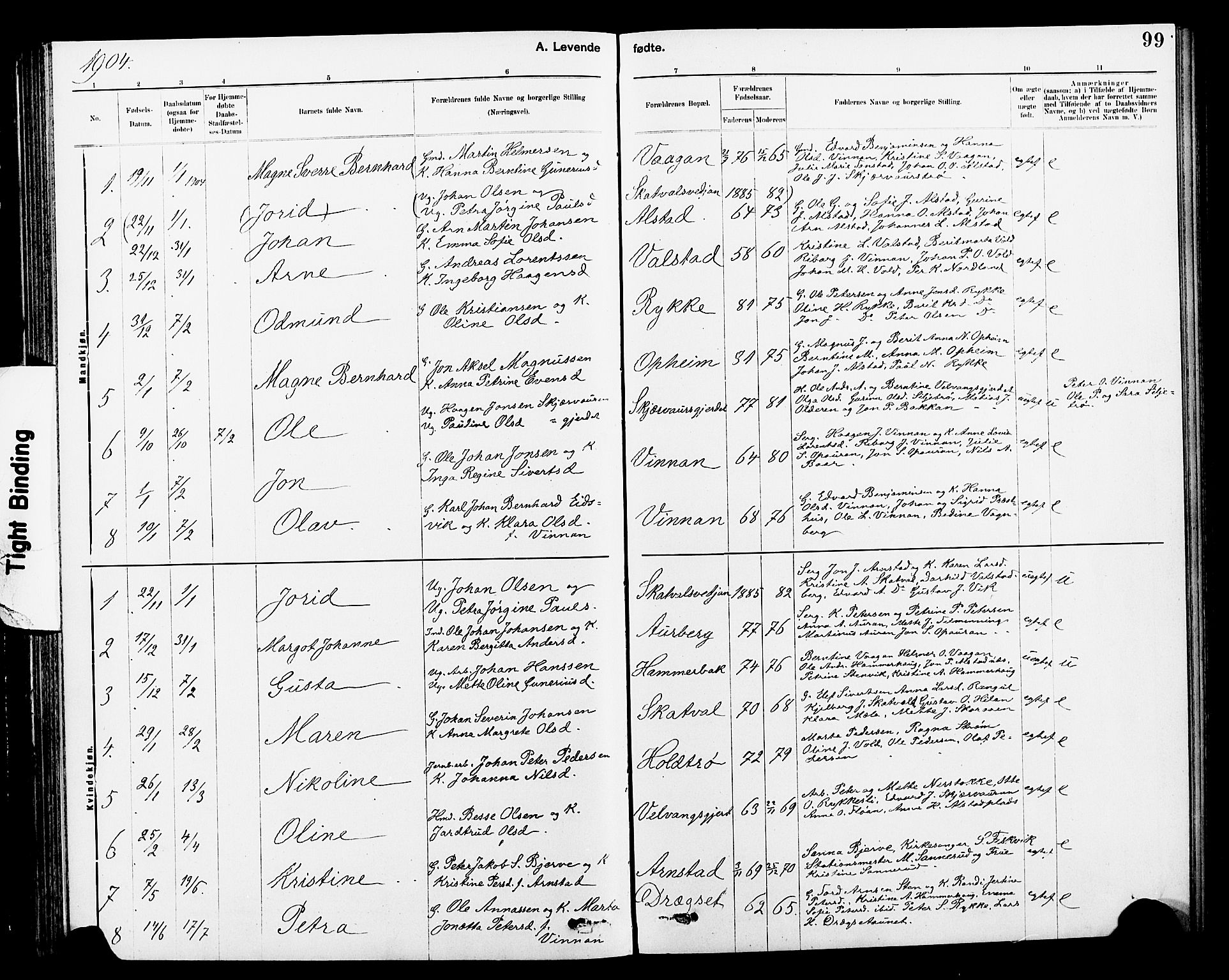 Ministerialprotokoller, klokkerbøker og fødselsregistre - Nord-Trøndelag, SAT/A-1458/712/L0103: Parish register (copy) no. 712C01, 1878-1917, p. 99