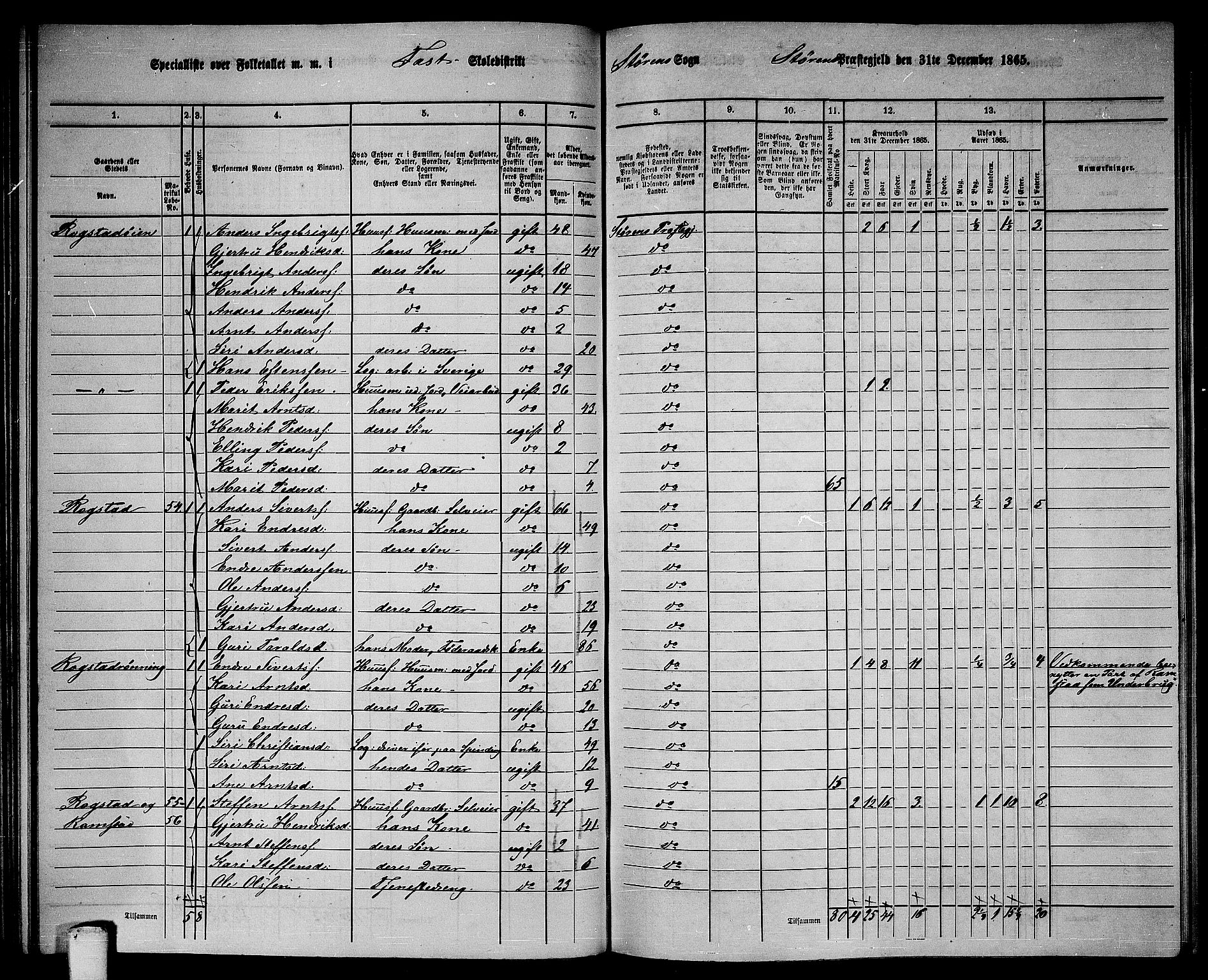 RA, 1865 census for Støren, 1865, p. 88