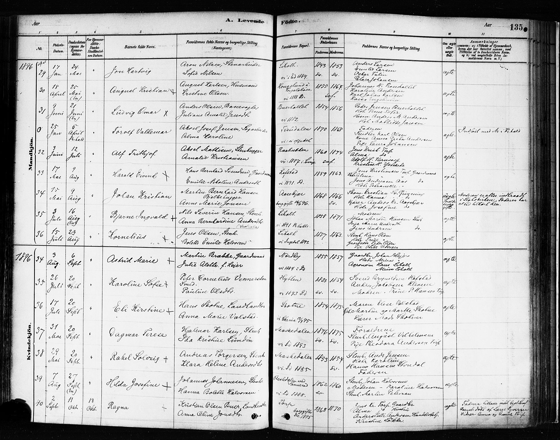 Idd prestekontor Kirkebøker, SAO/A-10911/F/Fc/L0006a: Parish register (official) no. III 6A, 1878-1903, p. 135