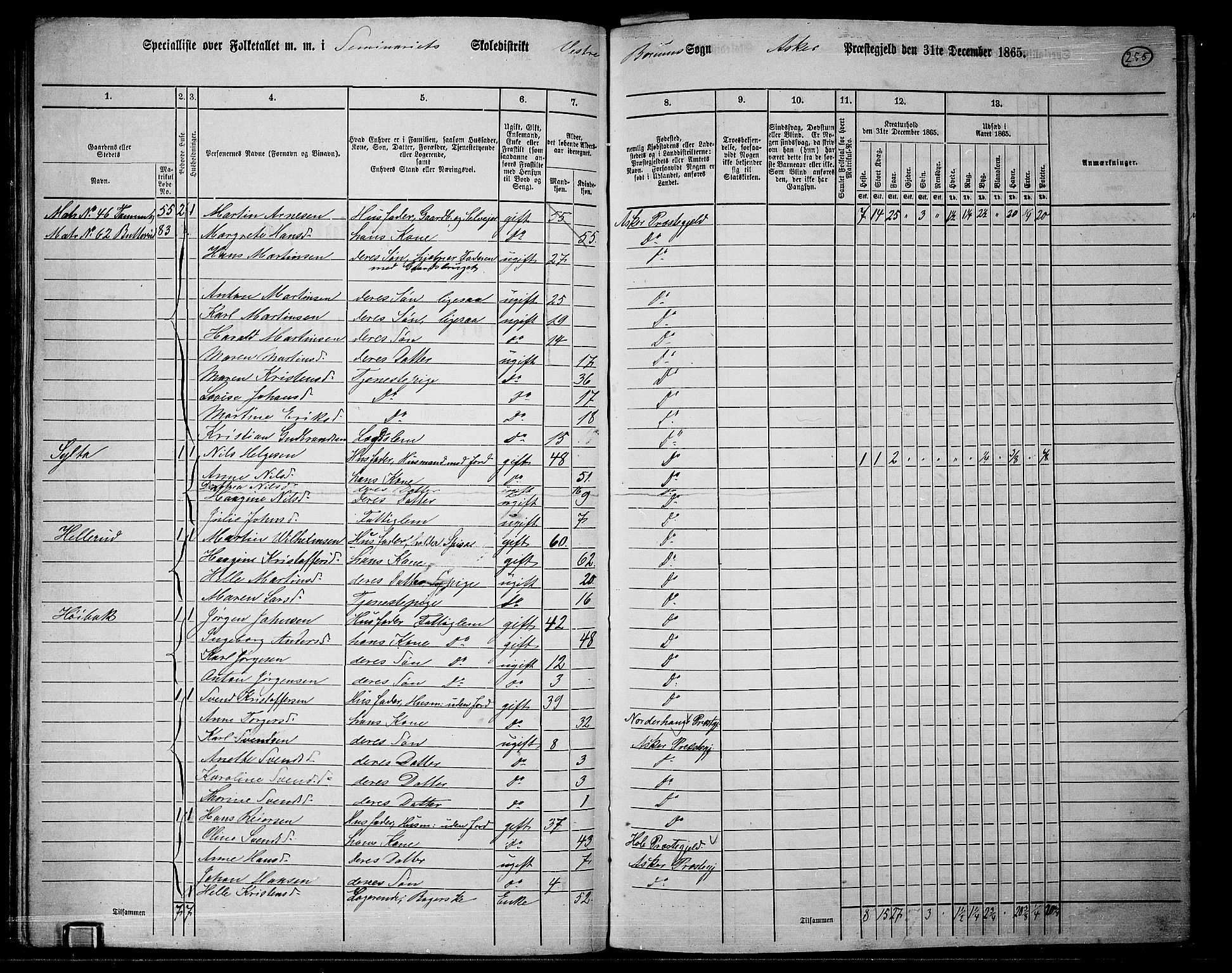 RA, 1865 census for Asker, 1865, p. 243